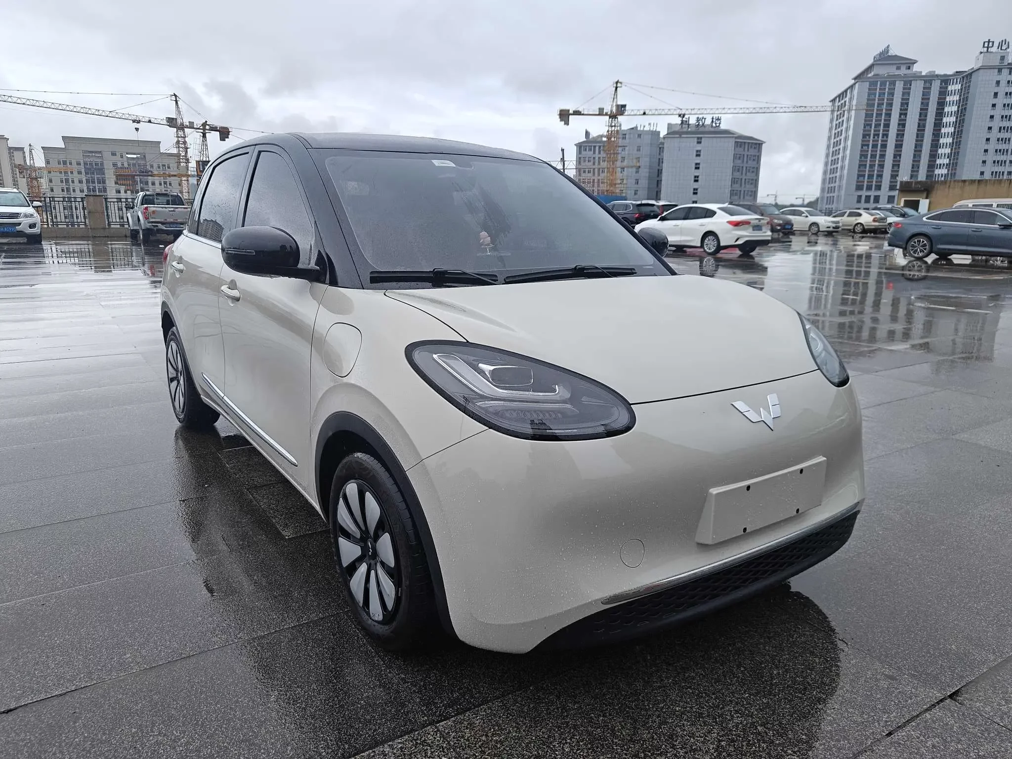 Wuling Bingo