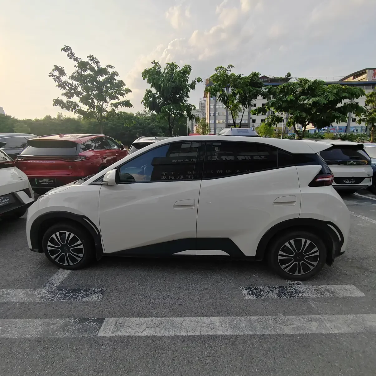 BYD seagull