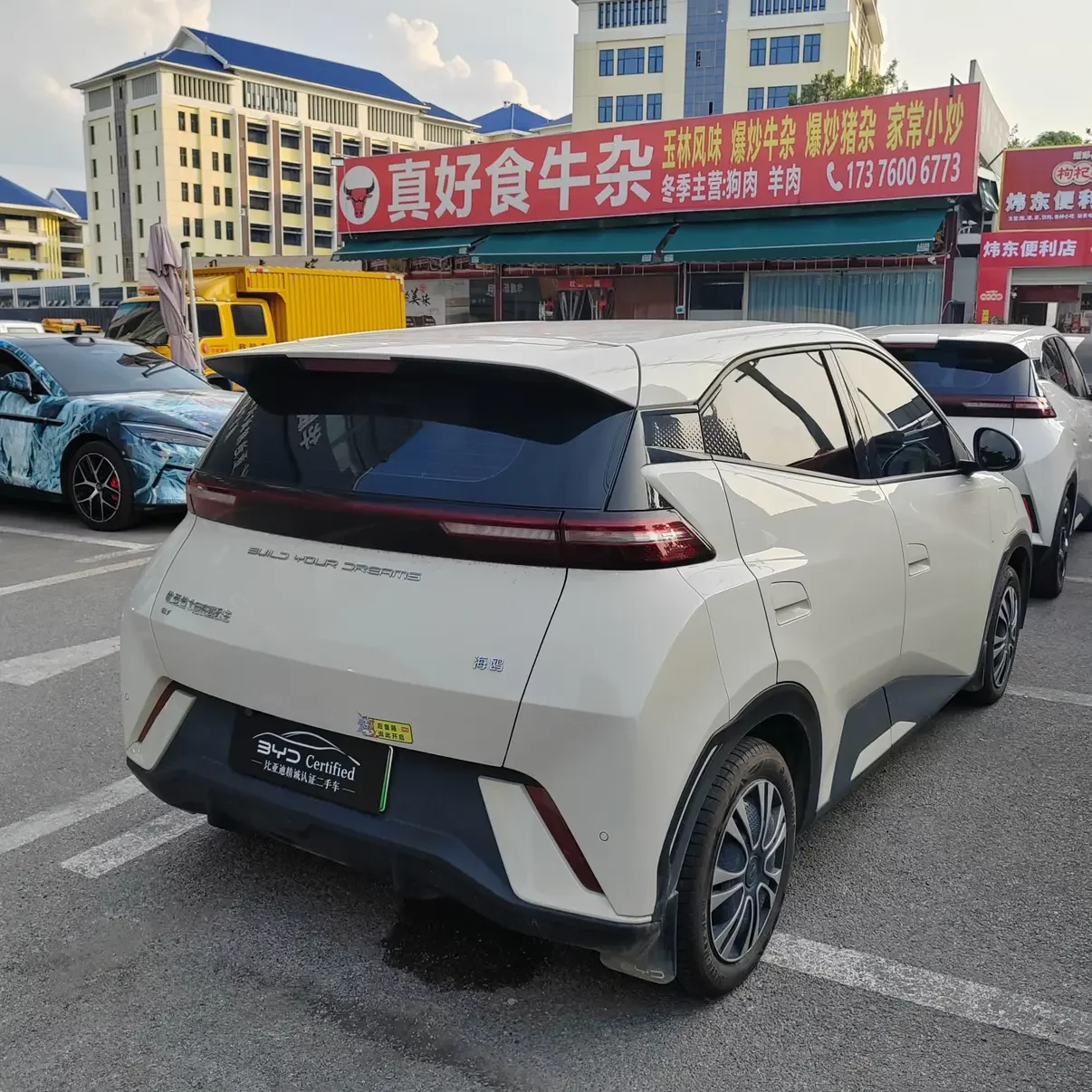 BYD seagull