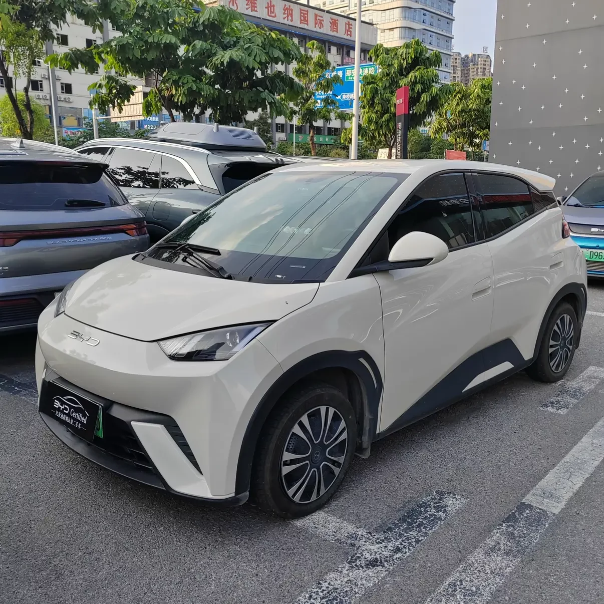 BYD seagull