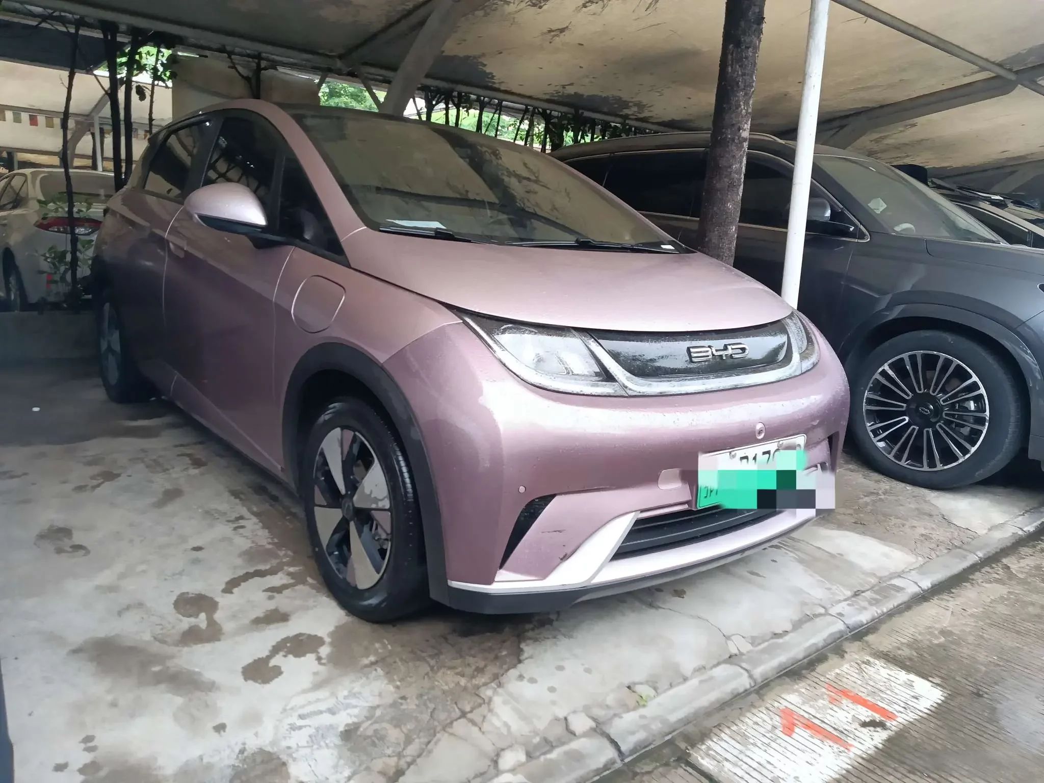 BYD dolphin