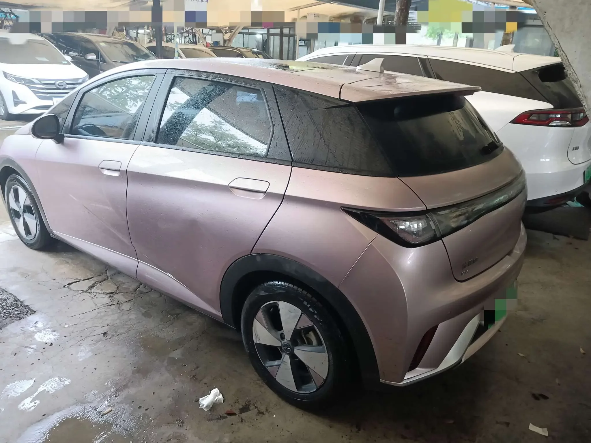 BYD dolphin