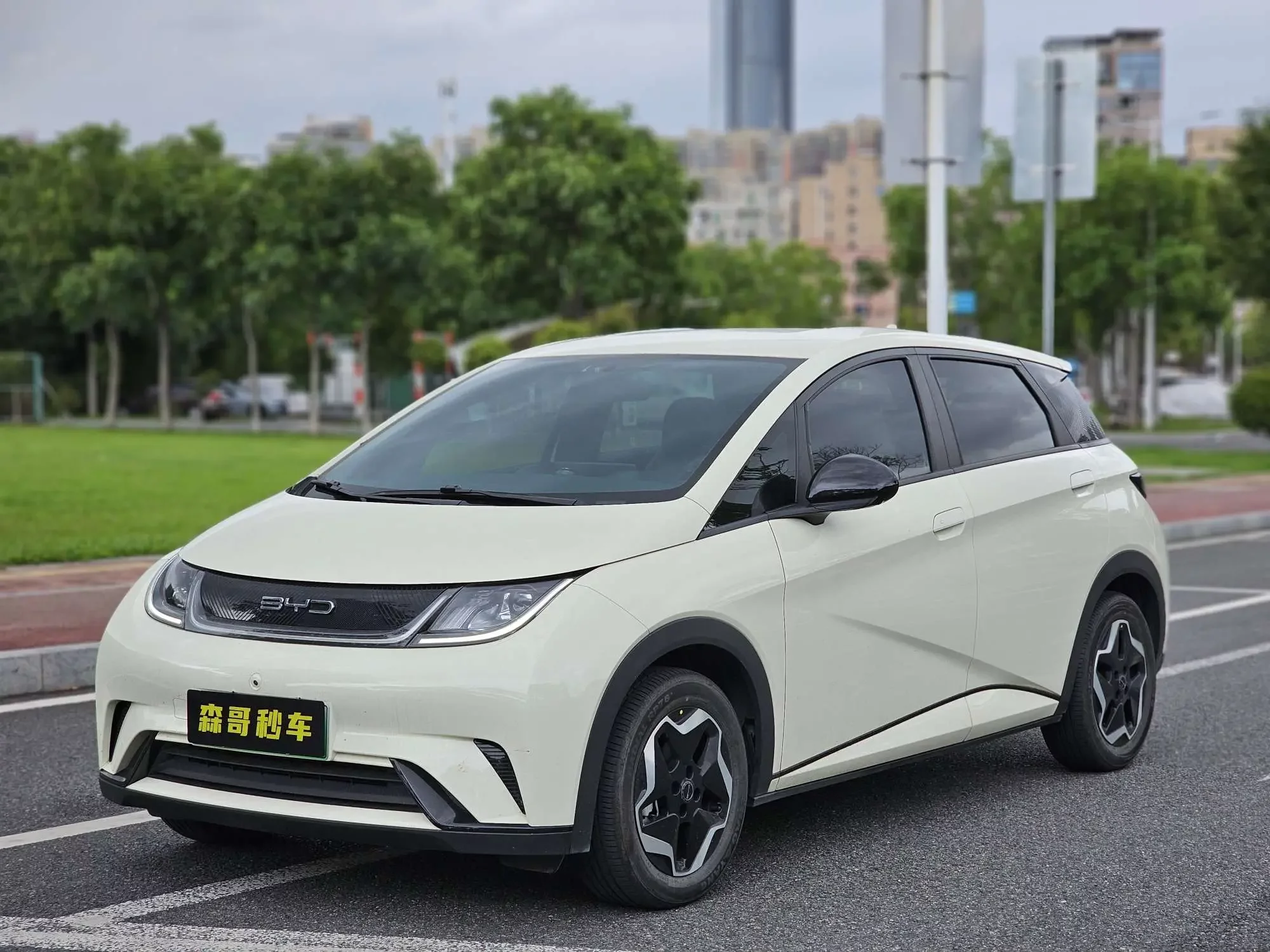 BYD dolphin