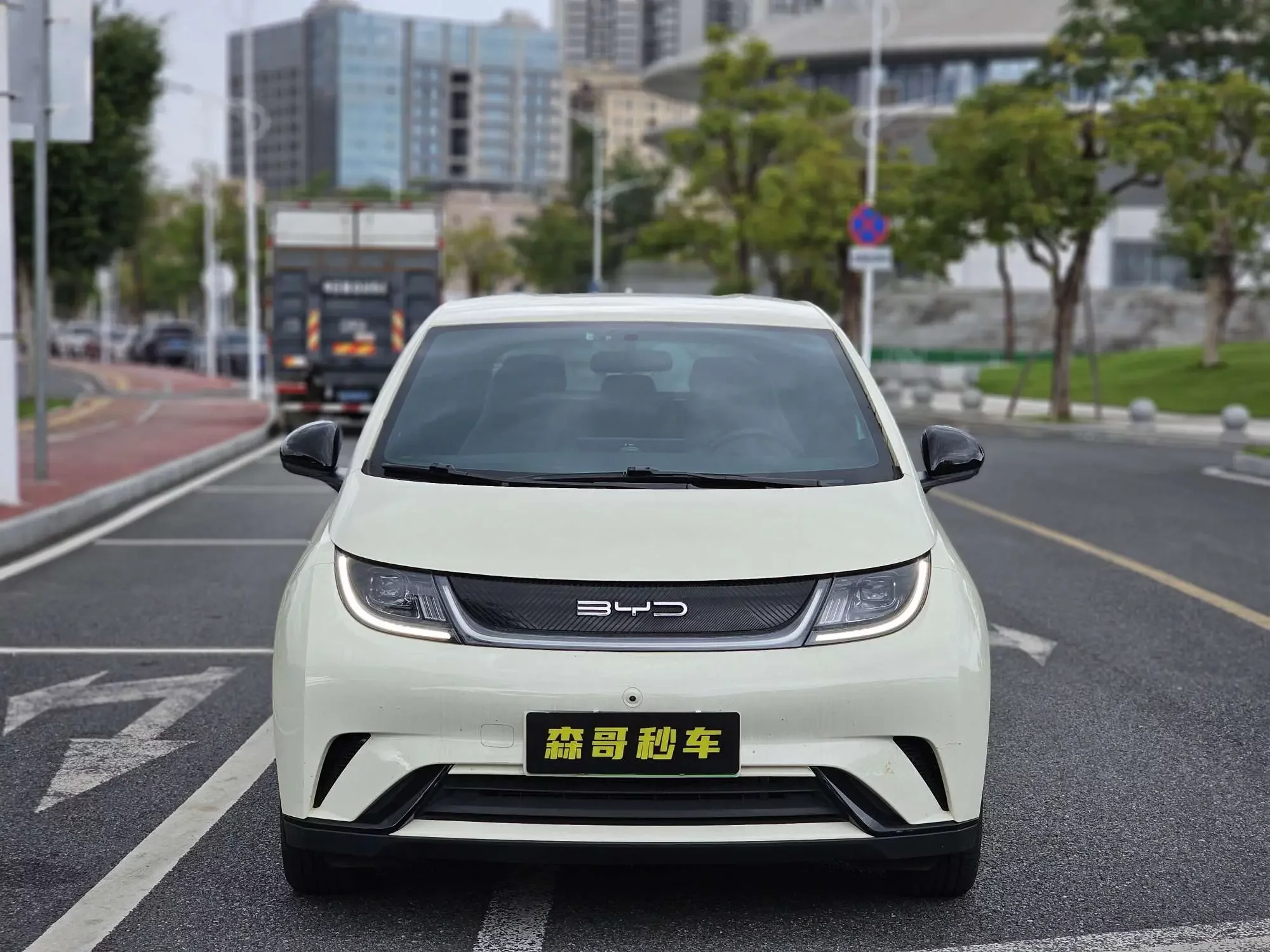 BYD dolphin