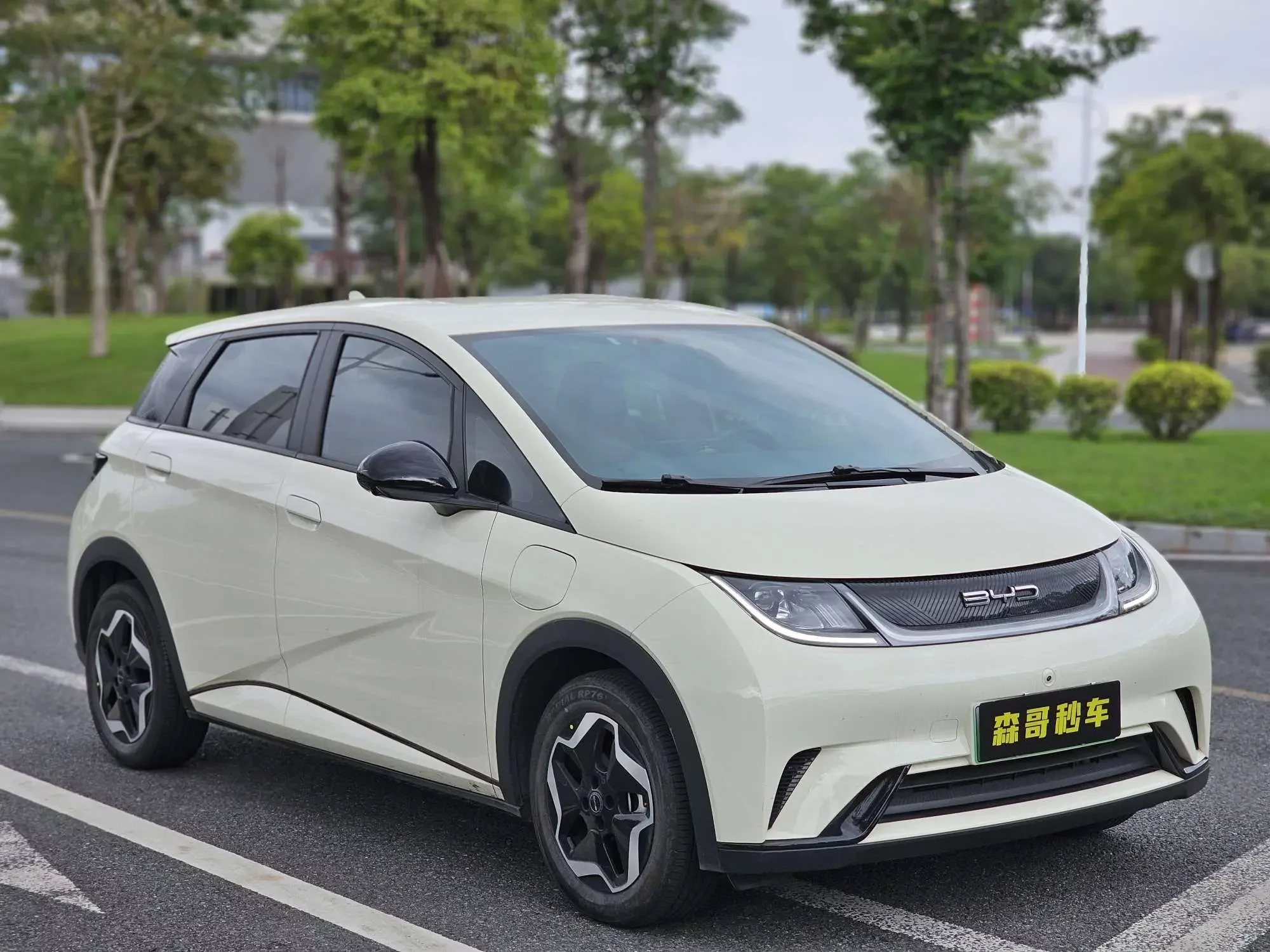 BYD dolphin