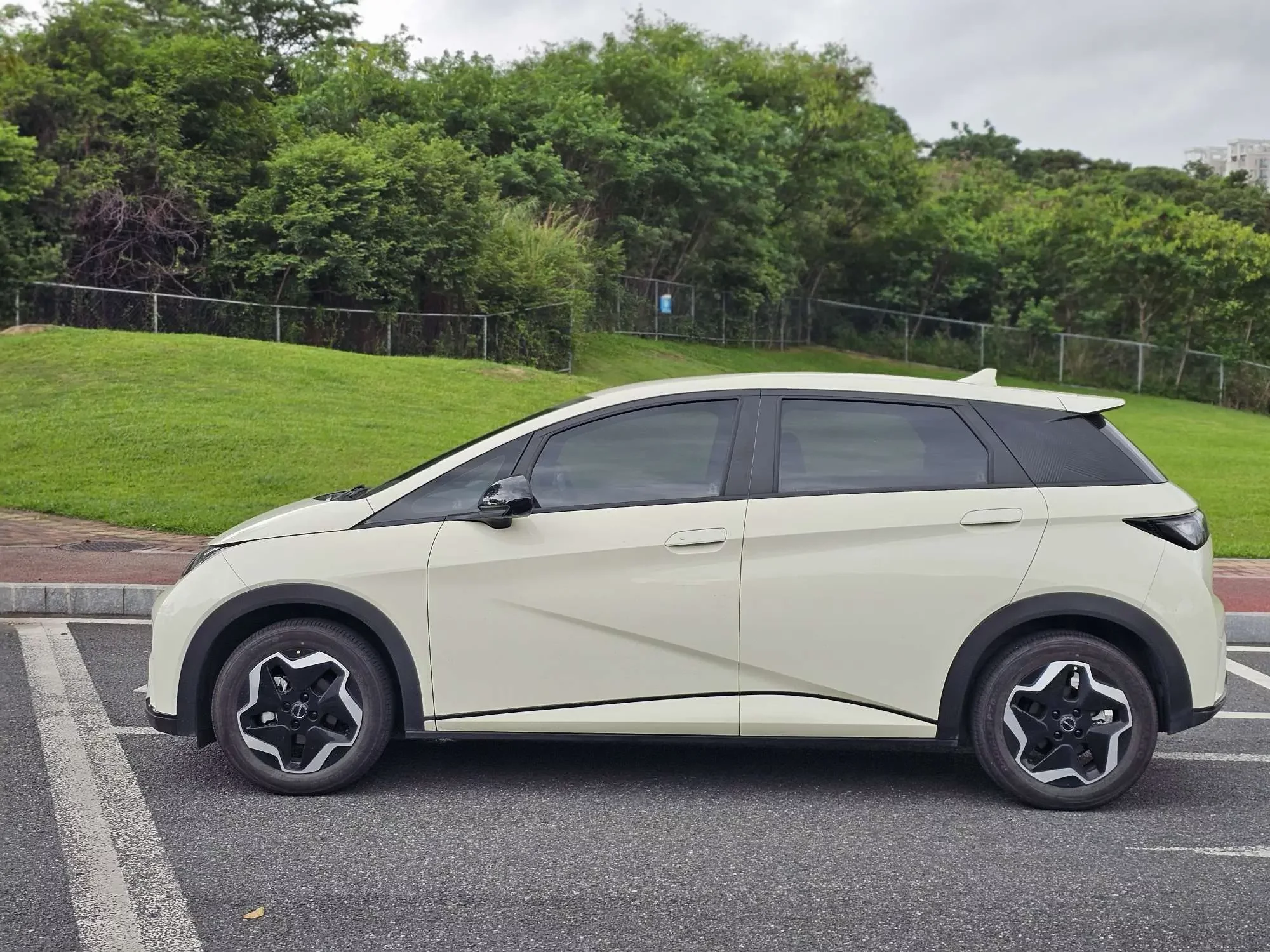 BYD dolphin