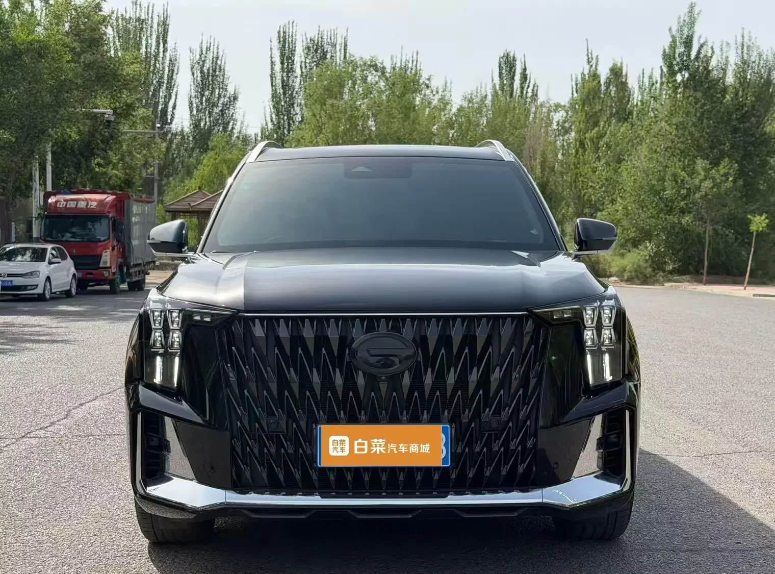 GAC Trumpchi GS8