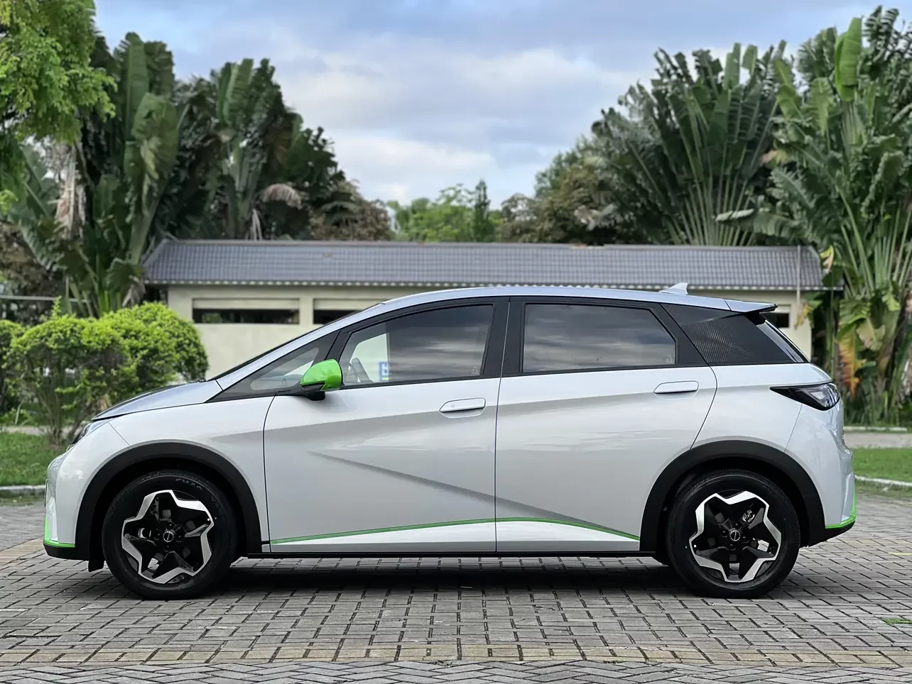 BYD dolphin