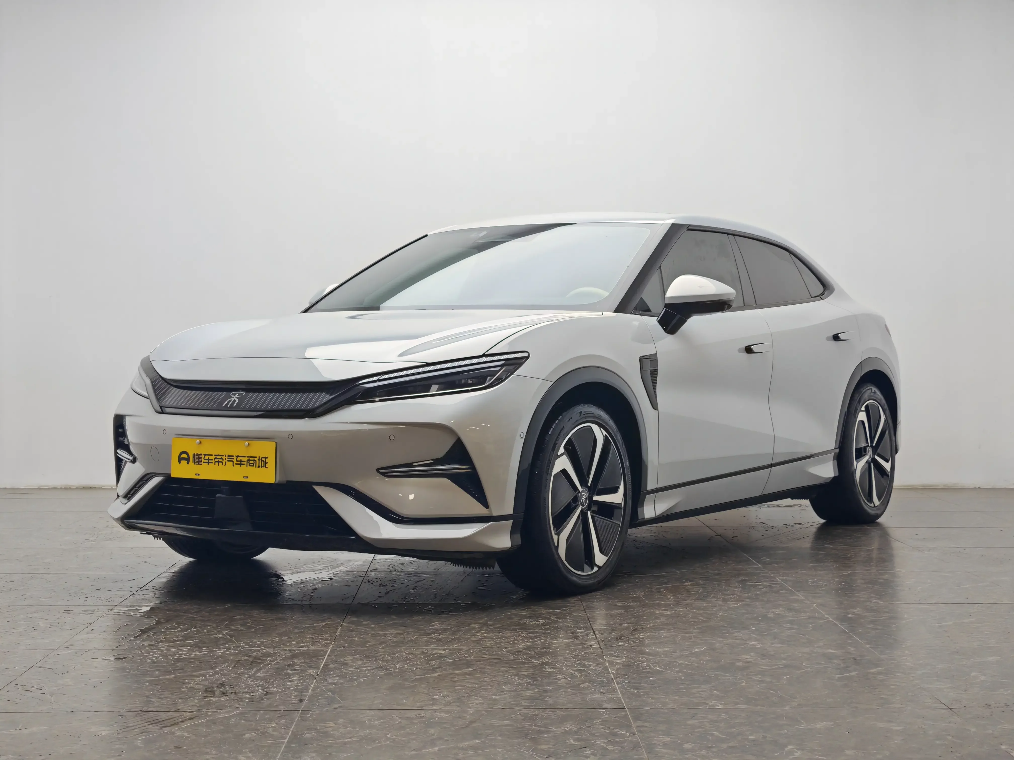 BYD Song L EV