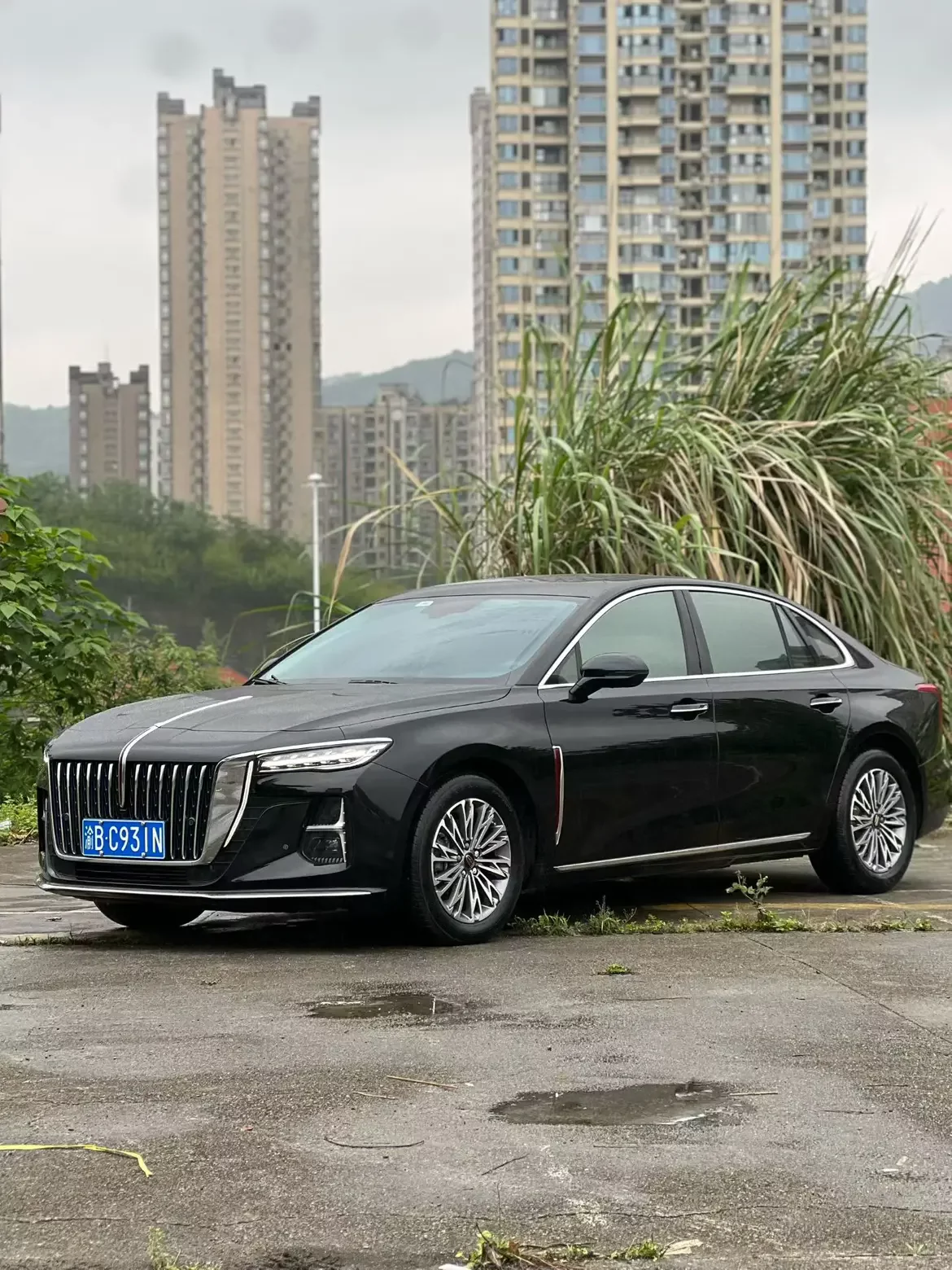 Hongqi H5