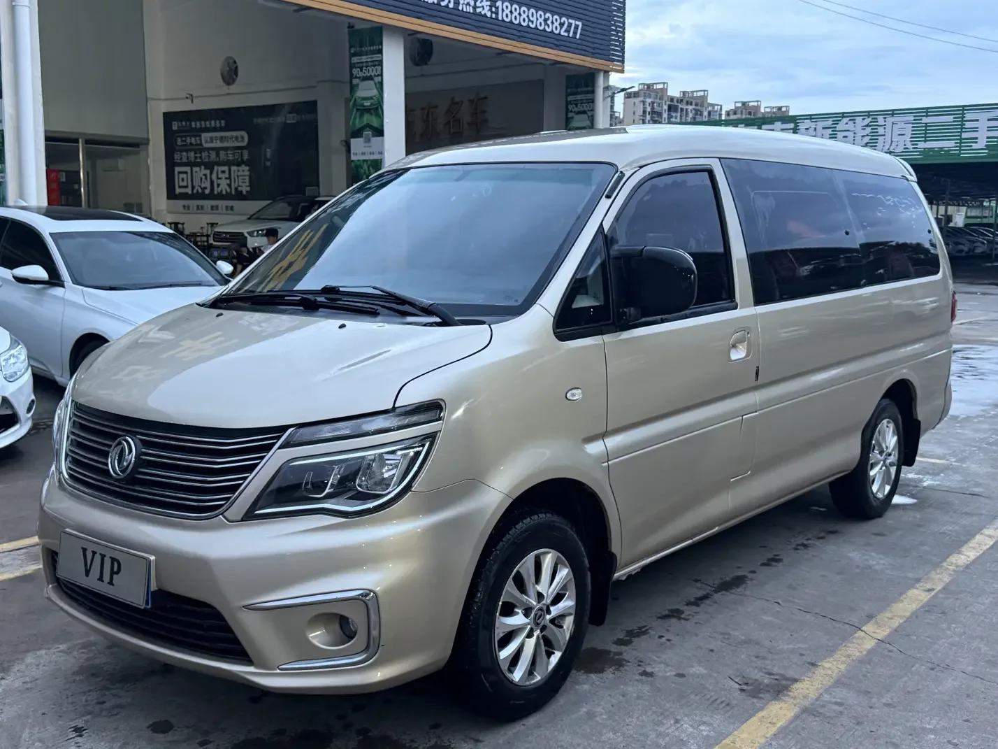 Forthing Lingzhi