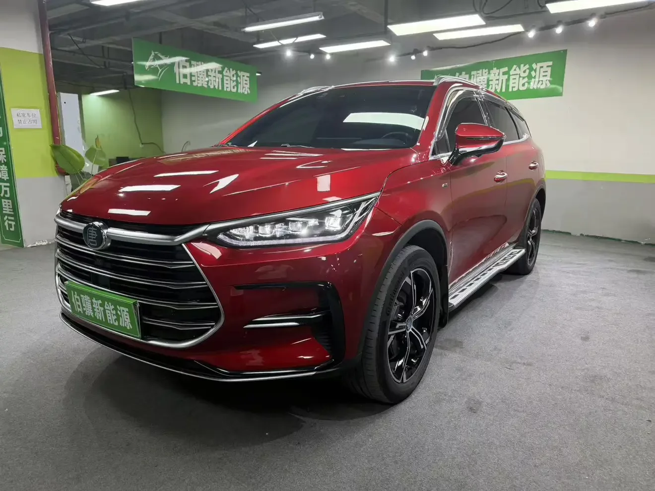 BYD Tang DM