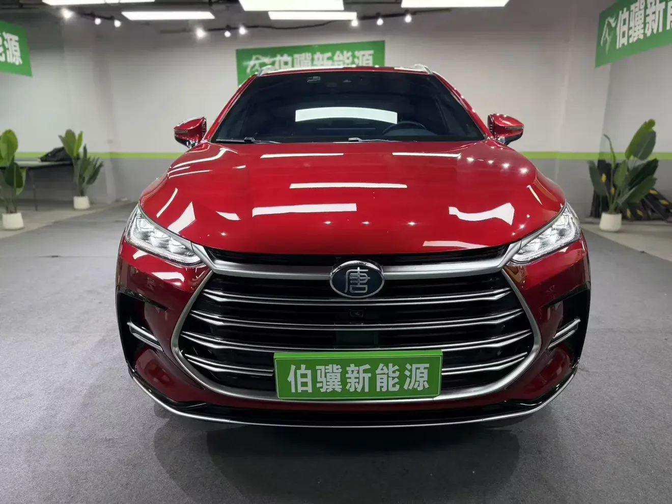BYD Tang DM
