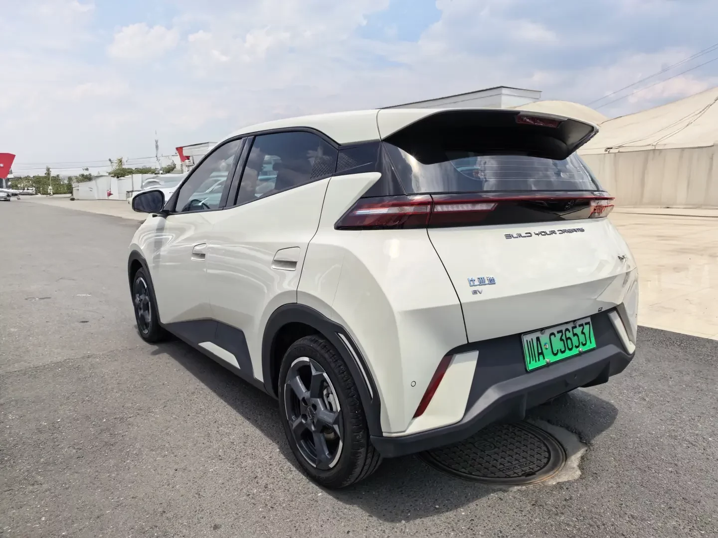 BYD seagull