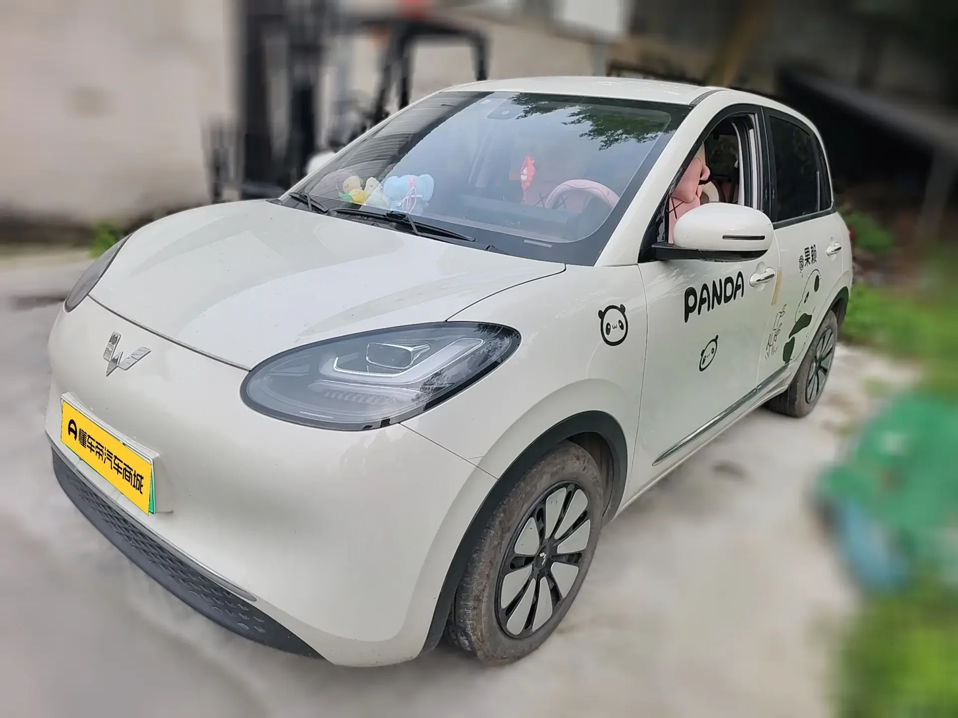 Wuling Bingo
