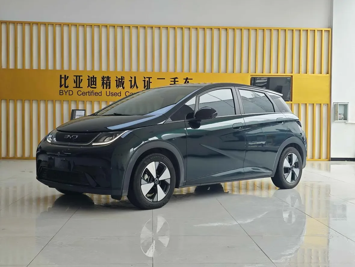 BYD dolphin