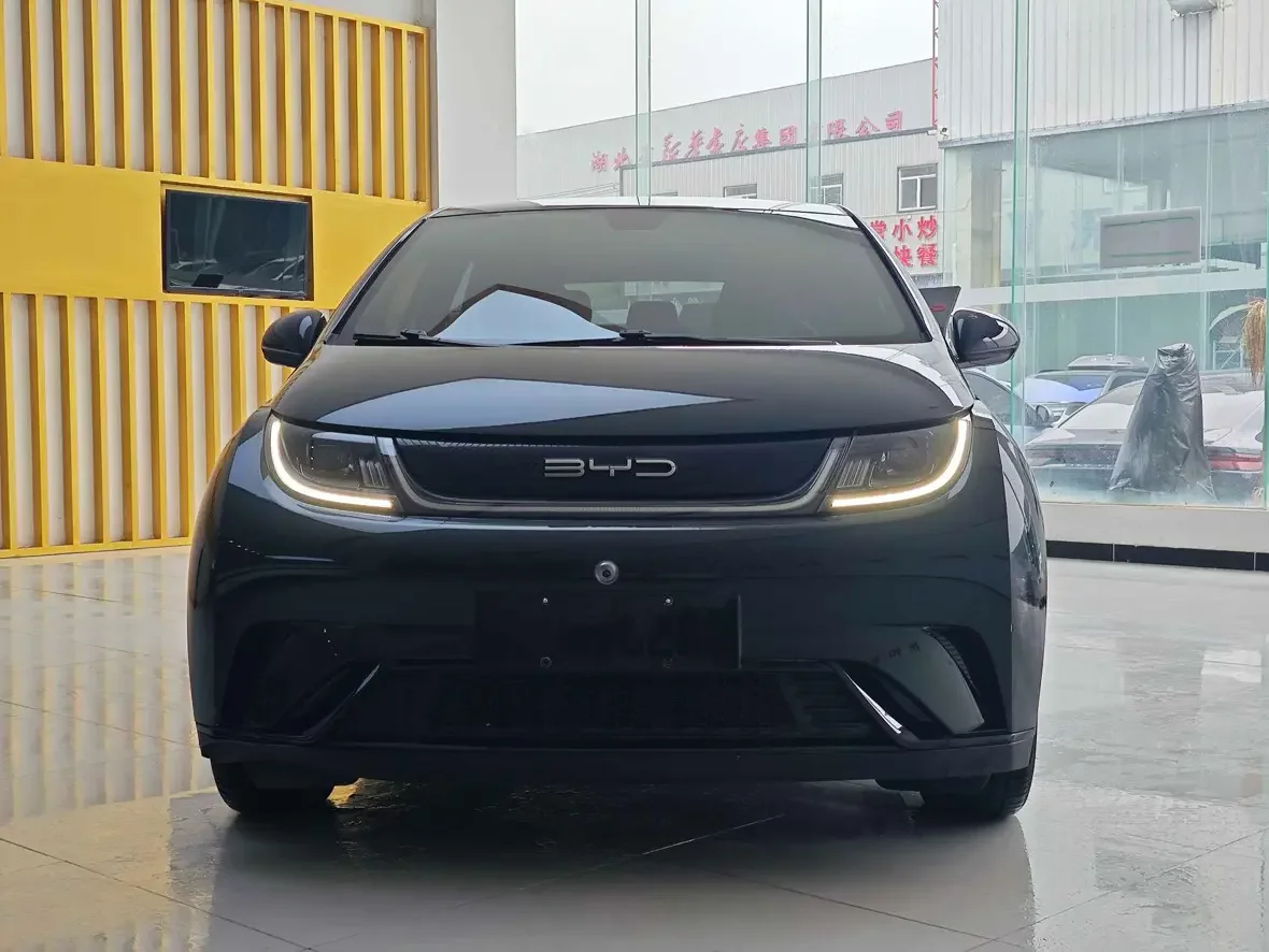 BYD dolphin