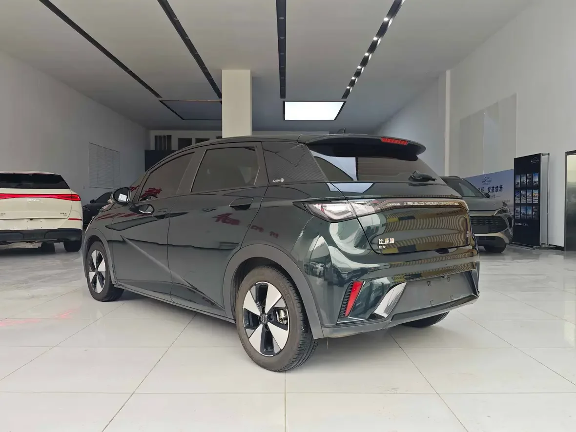 BYD dolphin