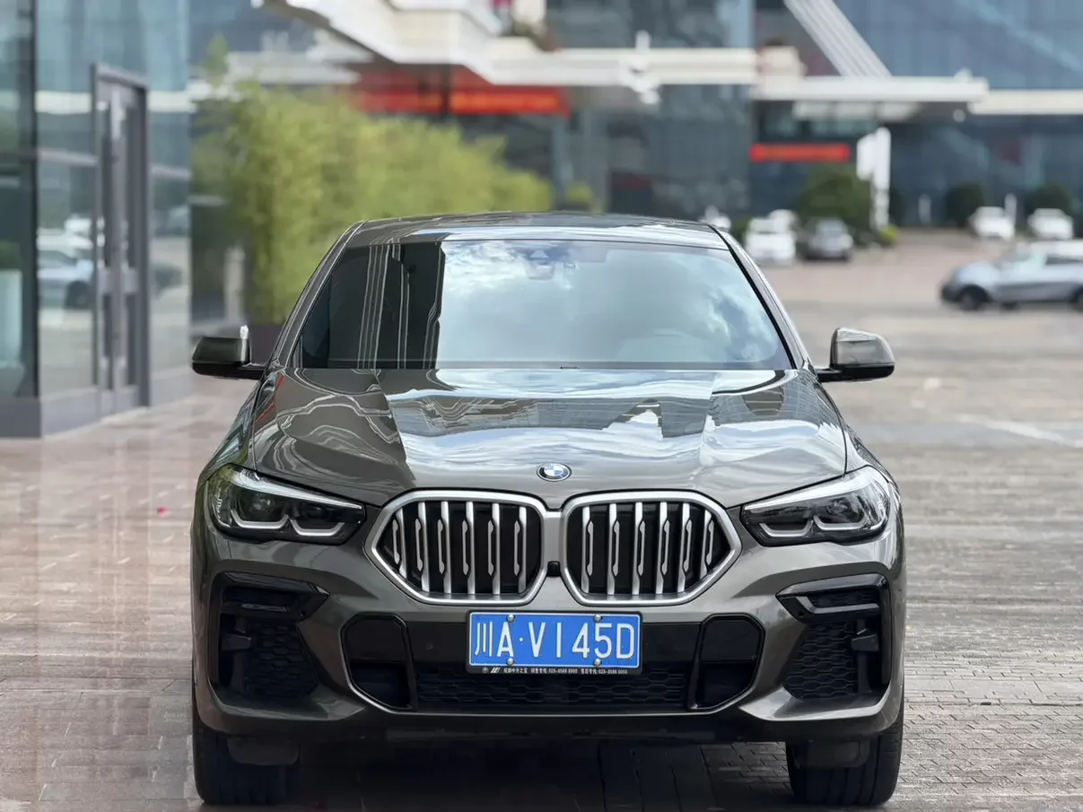 BMW X6