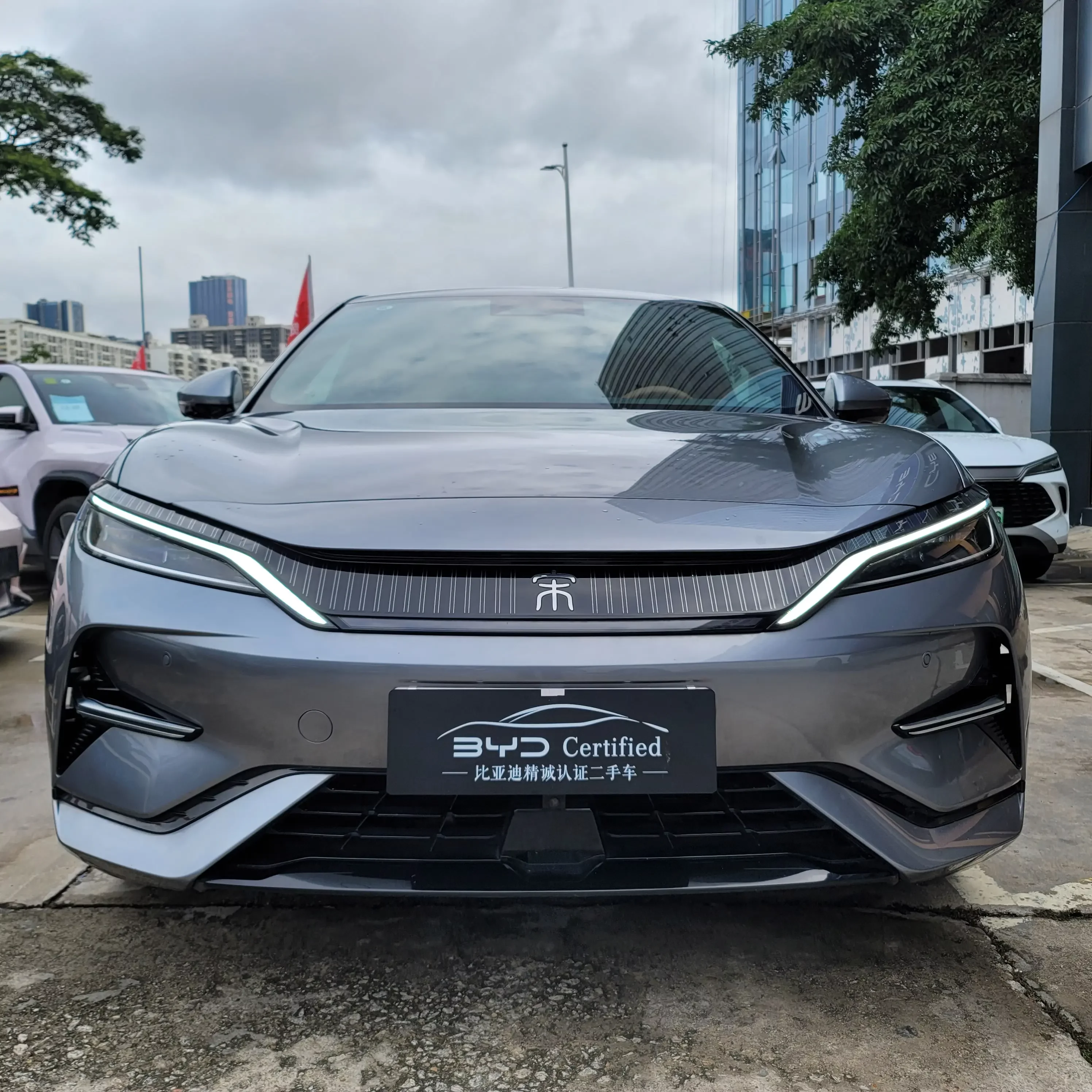 BYD Song L EV