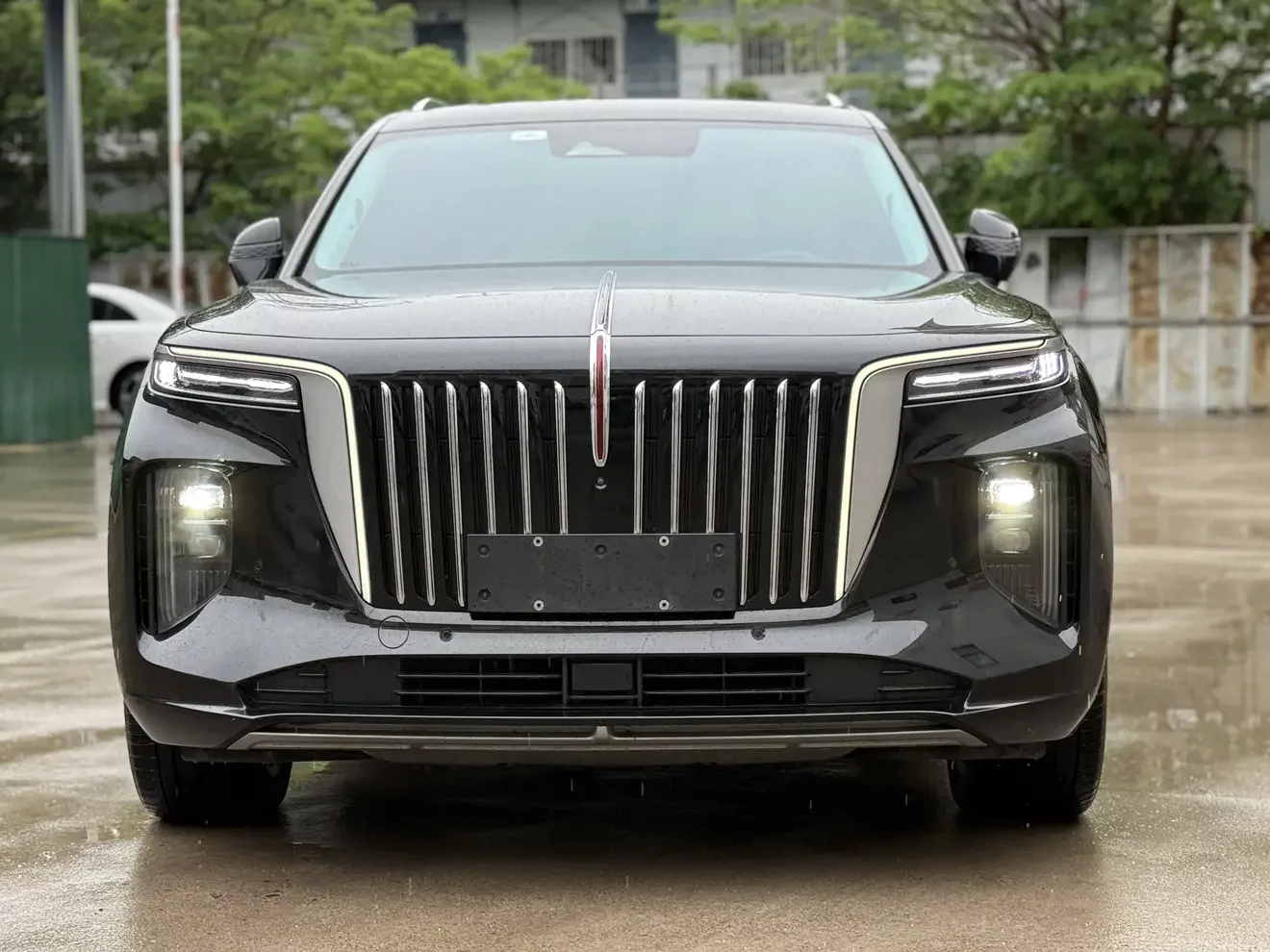 Hongqi E-HS9