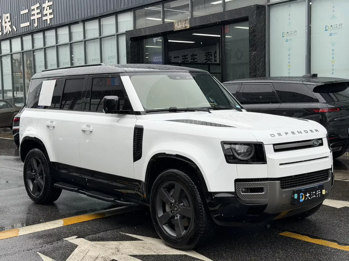 Land Rover guard