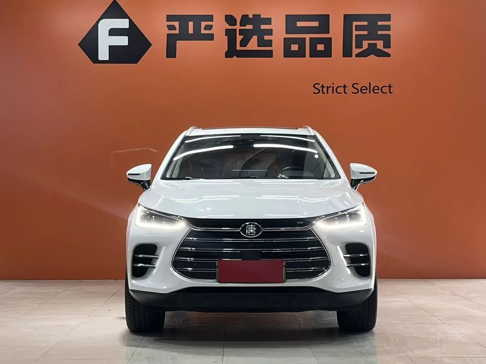 BYD Tang DM