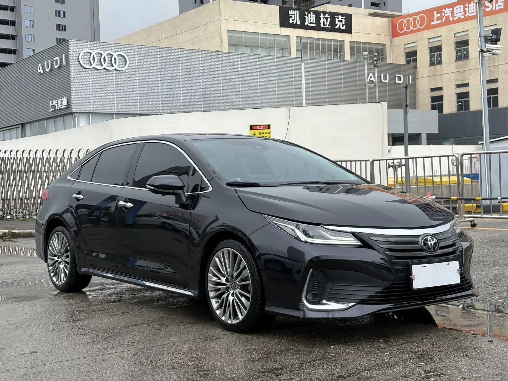 Toyota Asiatic lion