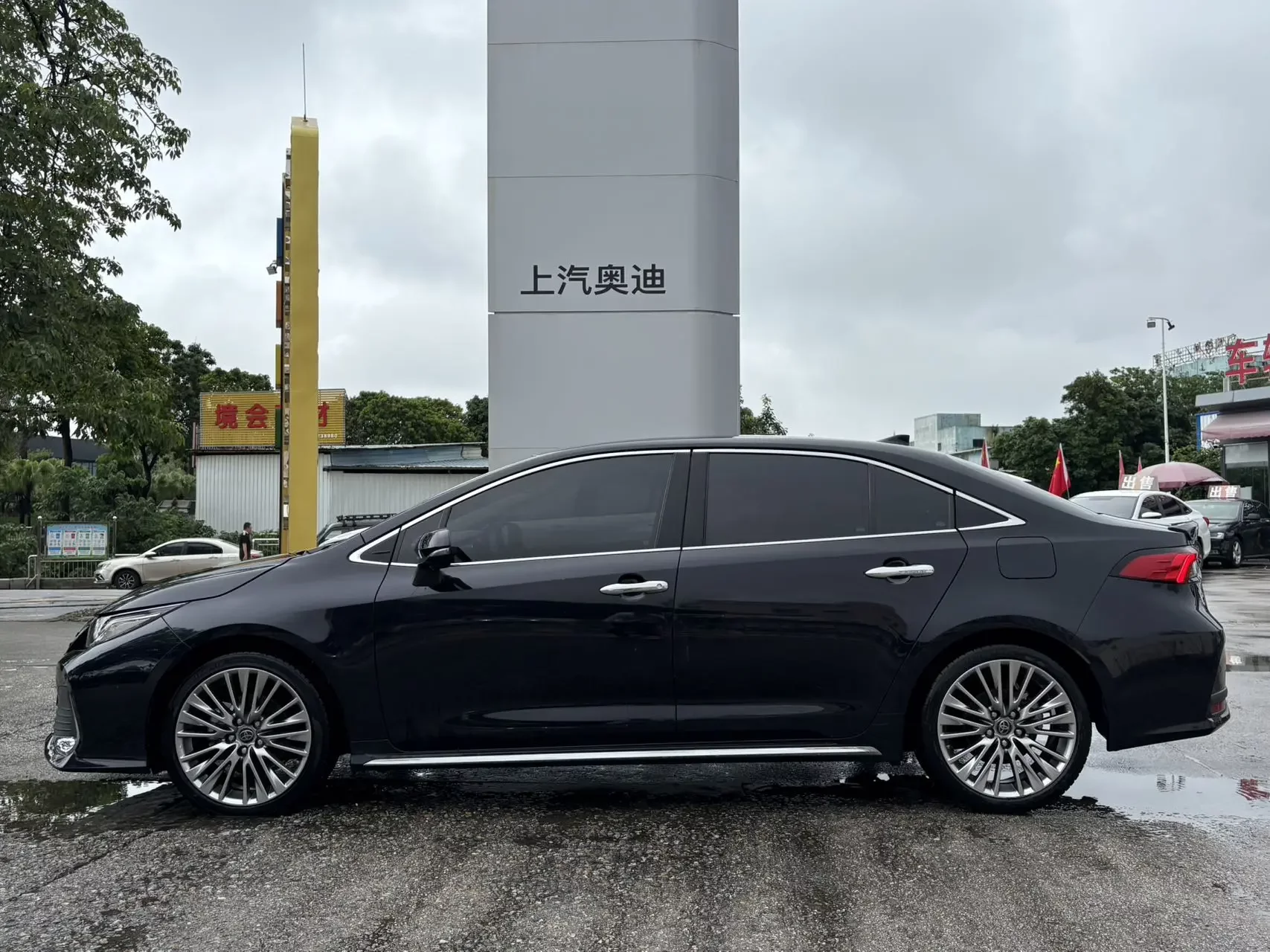 Toyota Asiatic lion