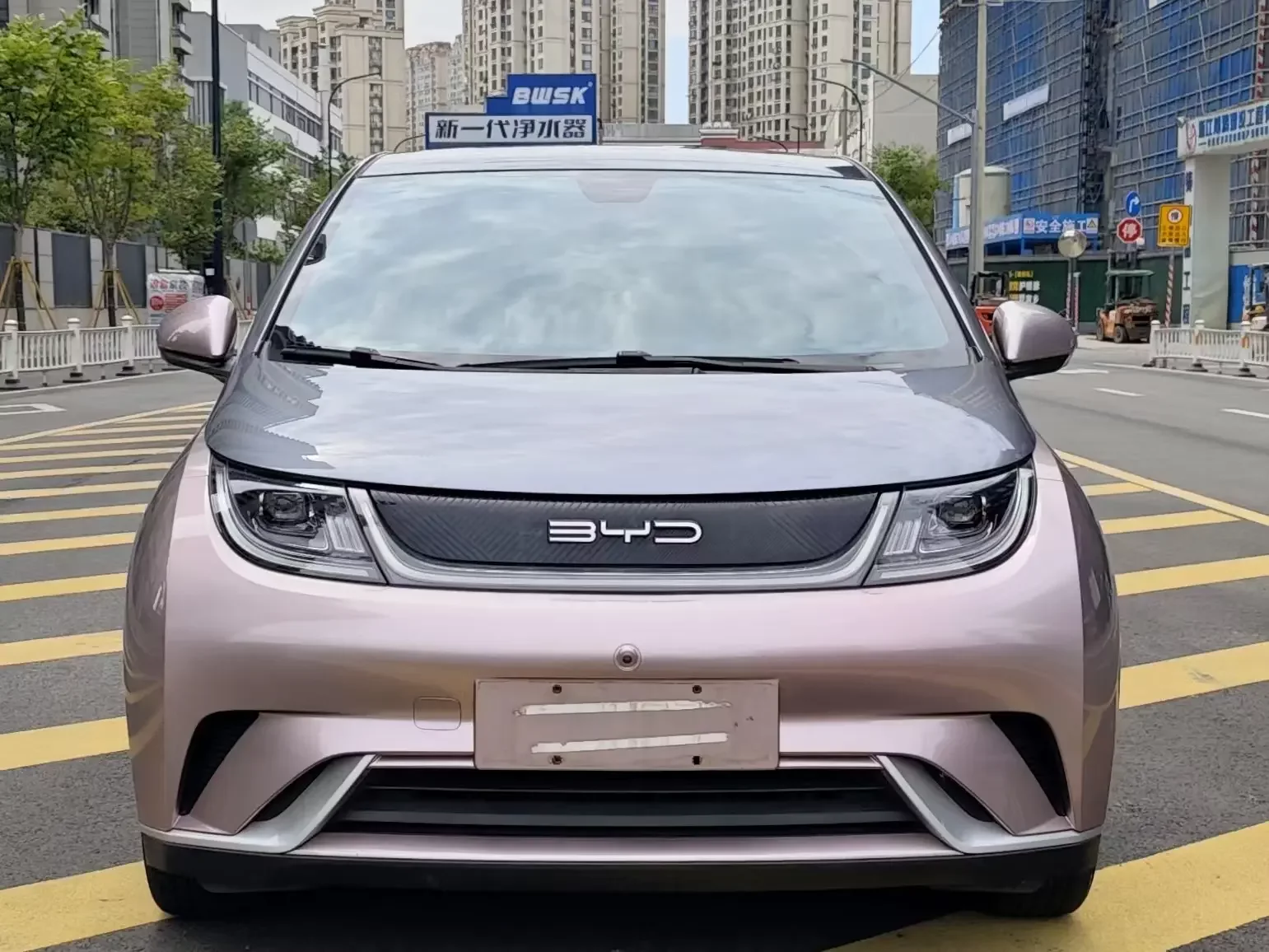 BYD dolphin