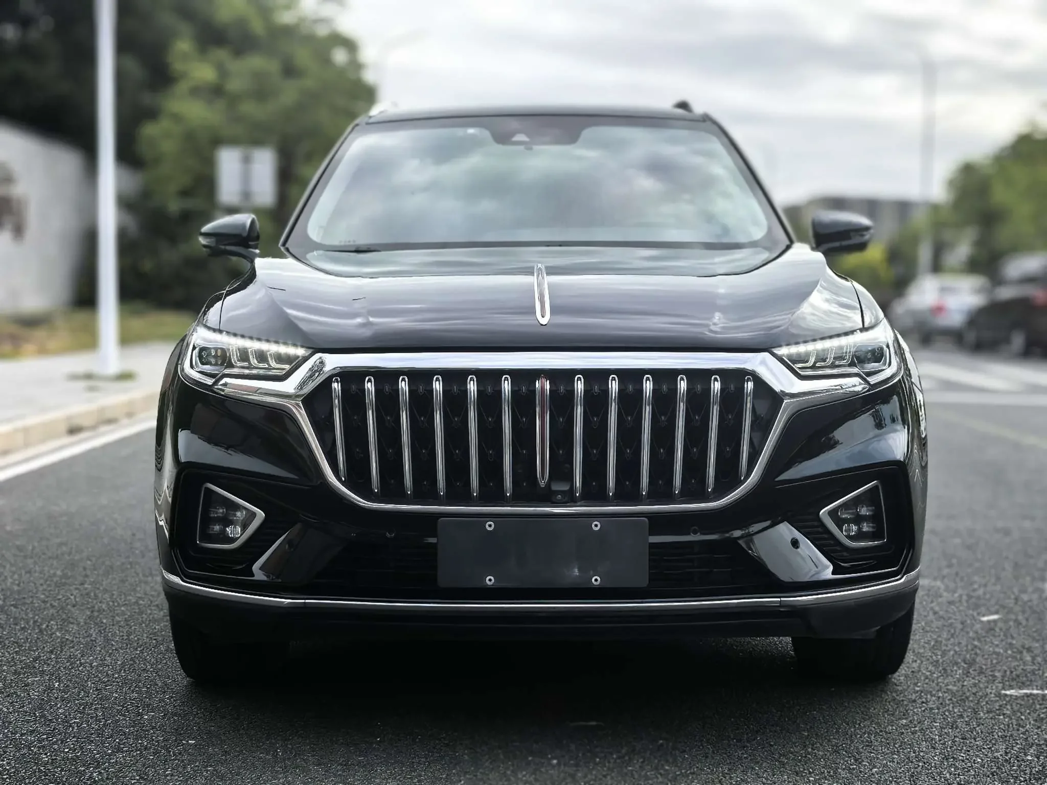 Hongqi HS5