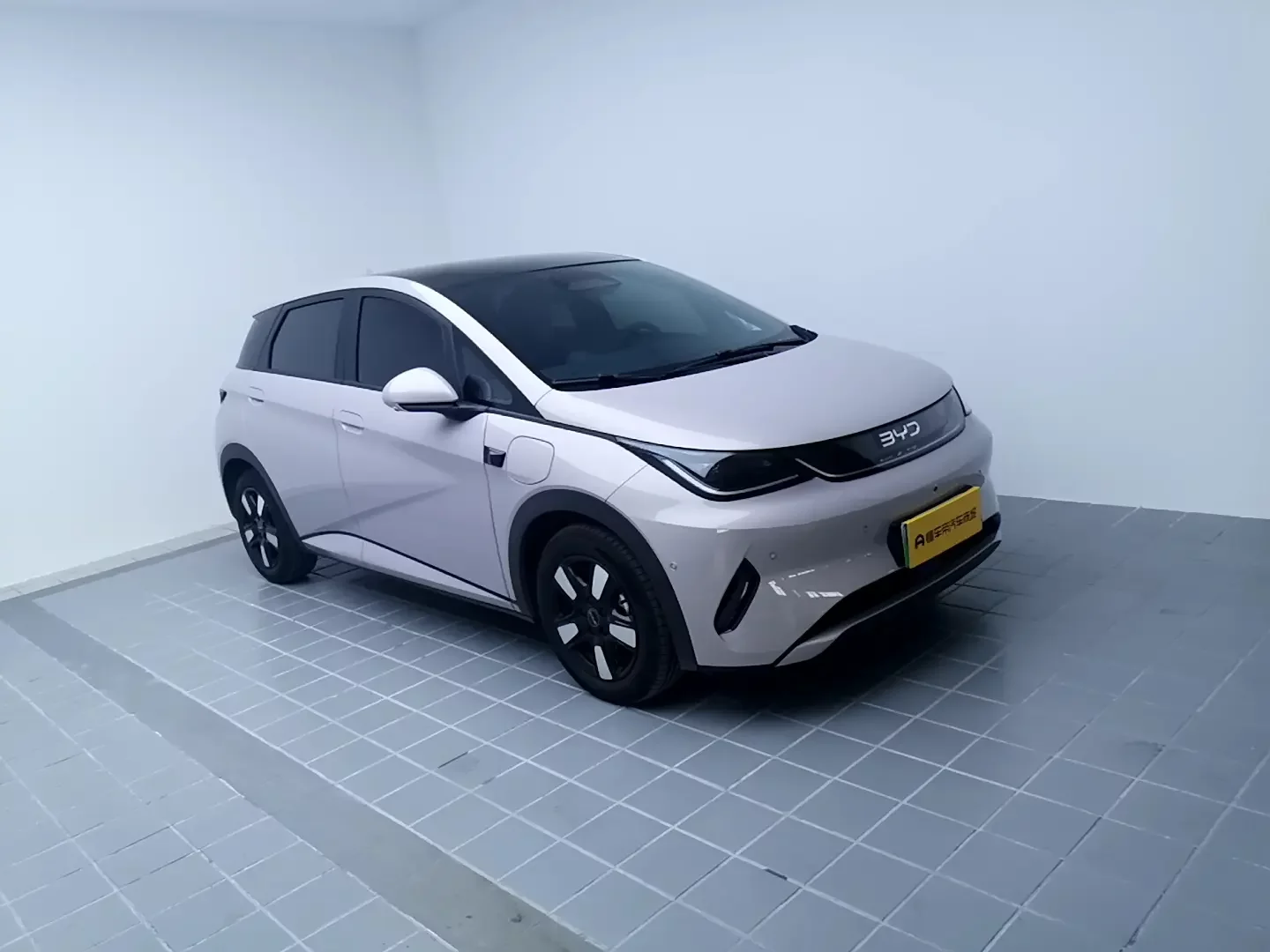 BYD dolphin