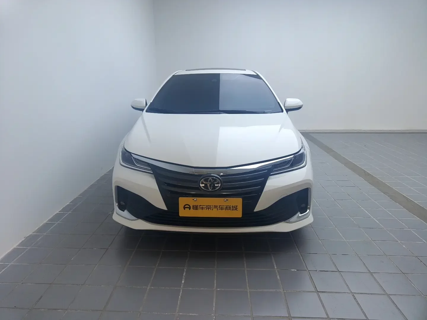 Toyota Asiatic lion