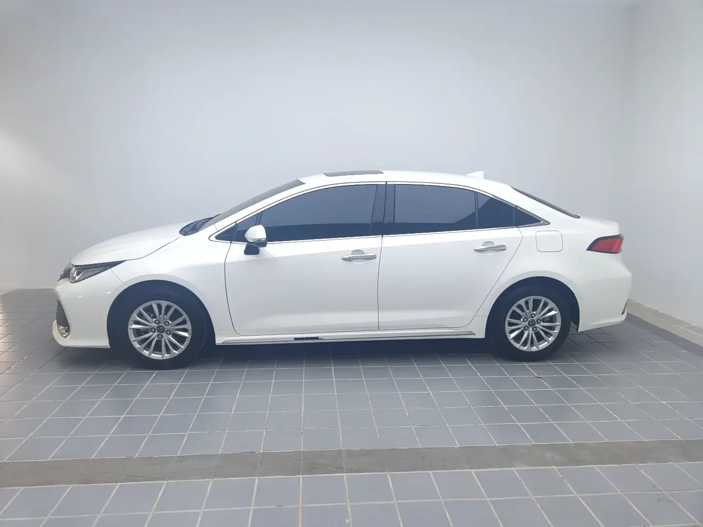 Toyota Asiatic lion