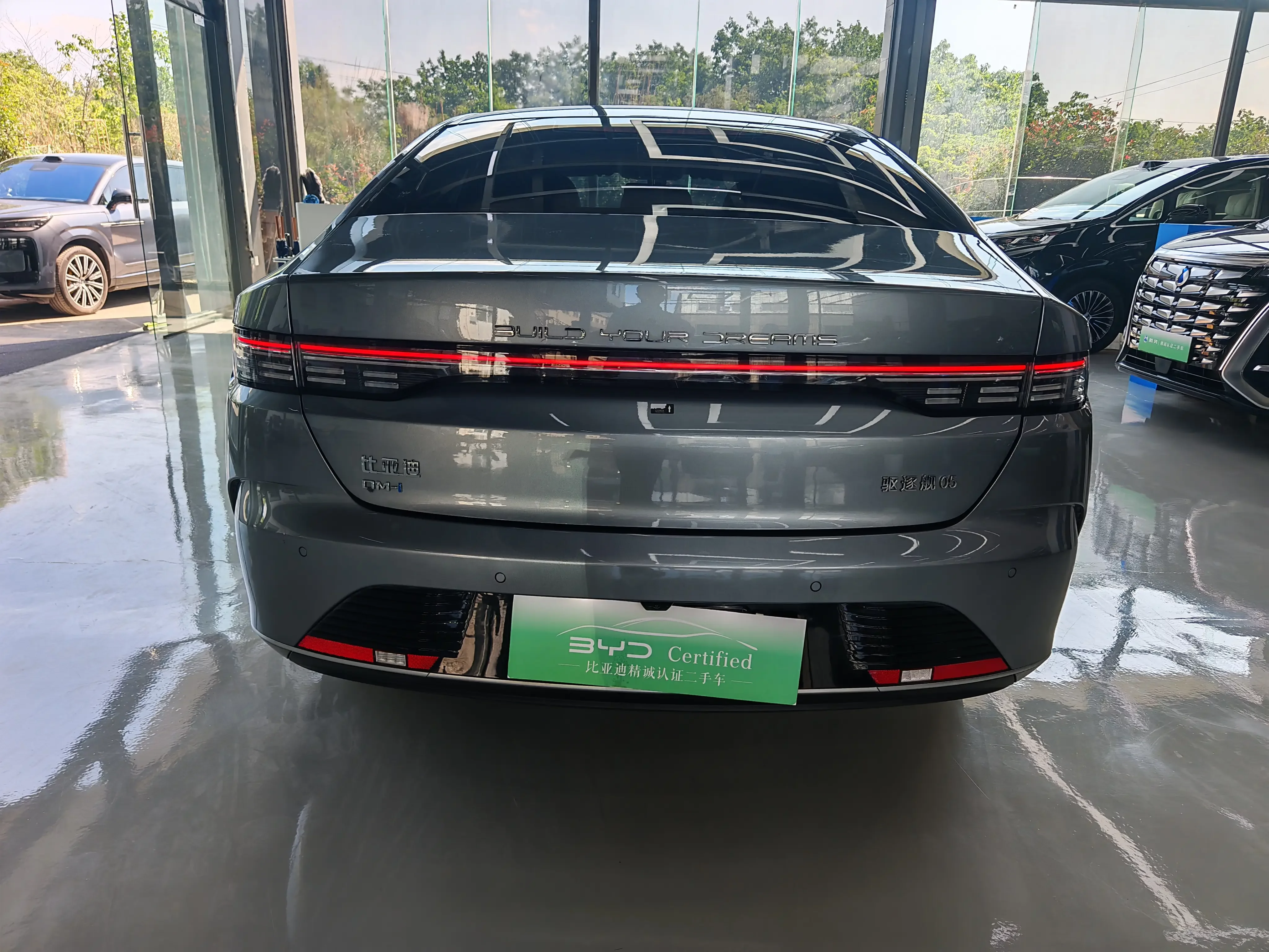 BYD Destroyer 05