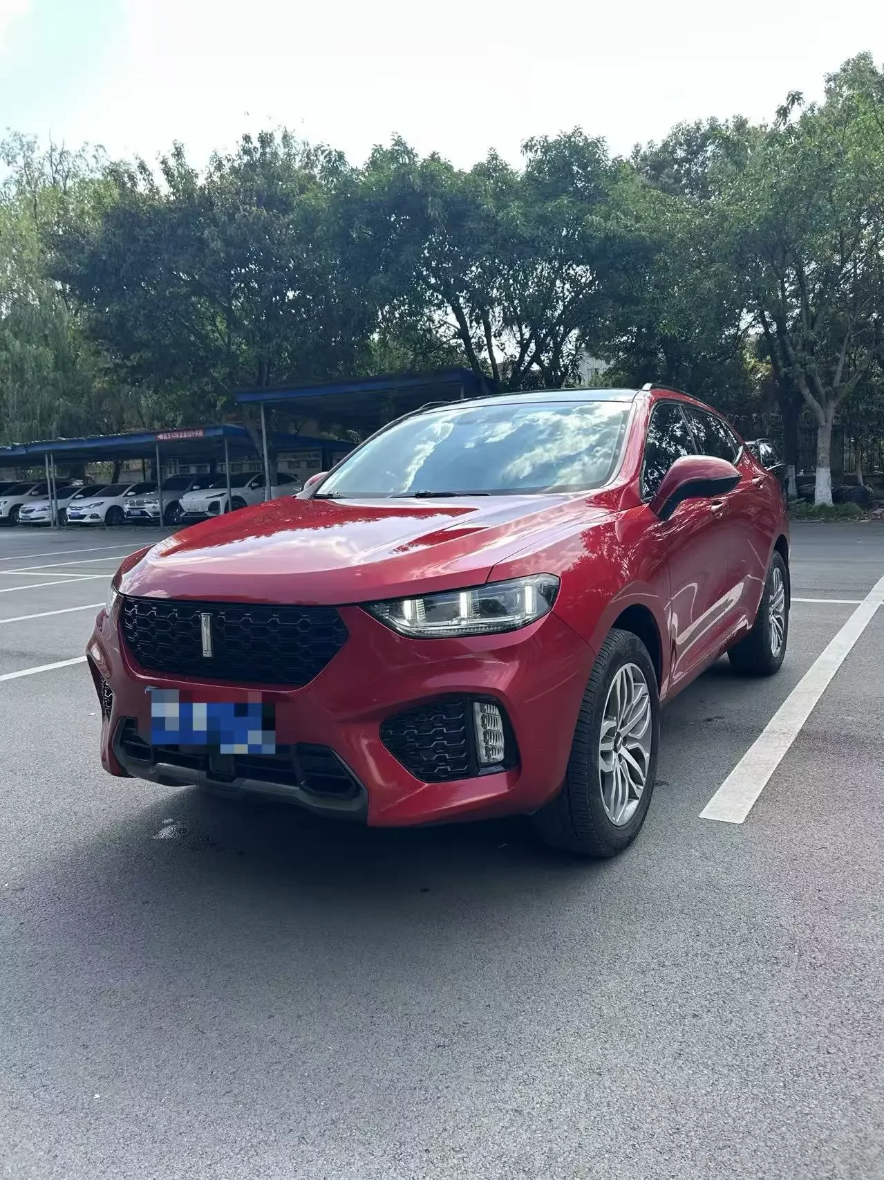 Wey Wei brand VV5