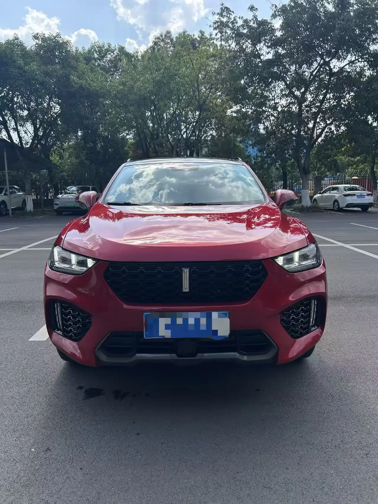 Wey Wei brand VV5