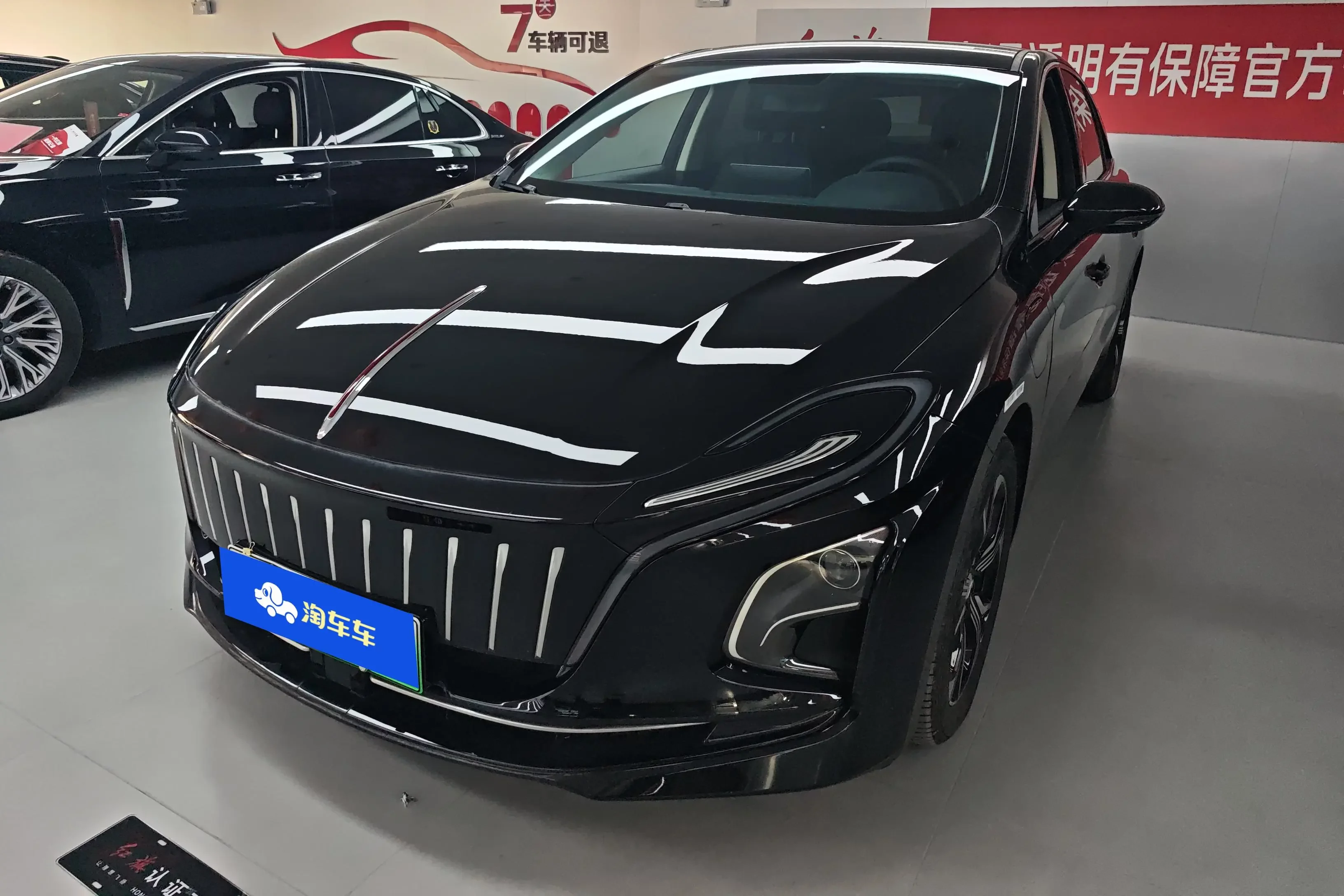 Hongqi E-QM5
