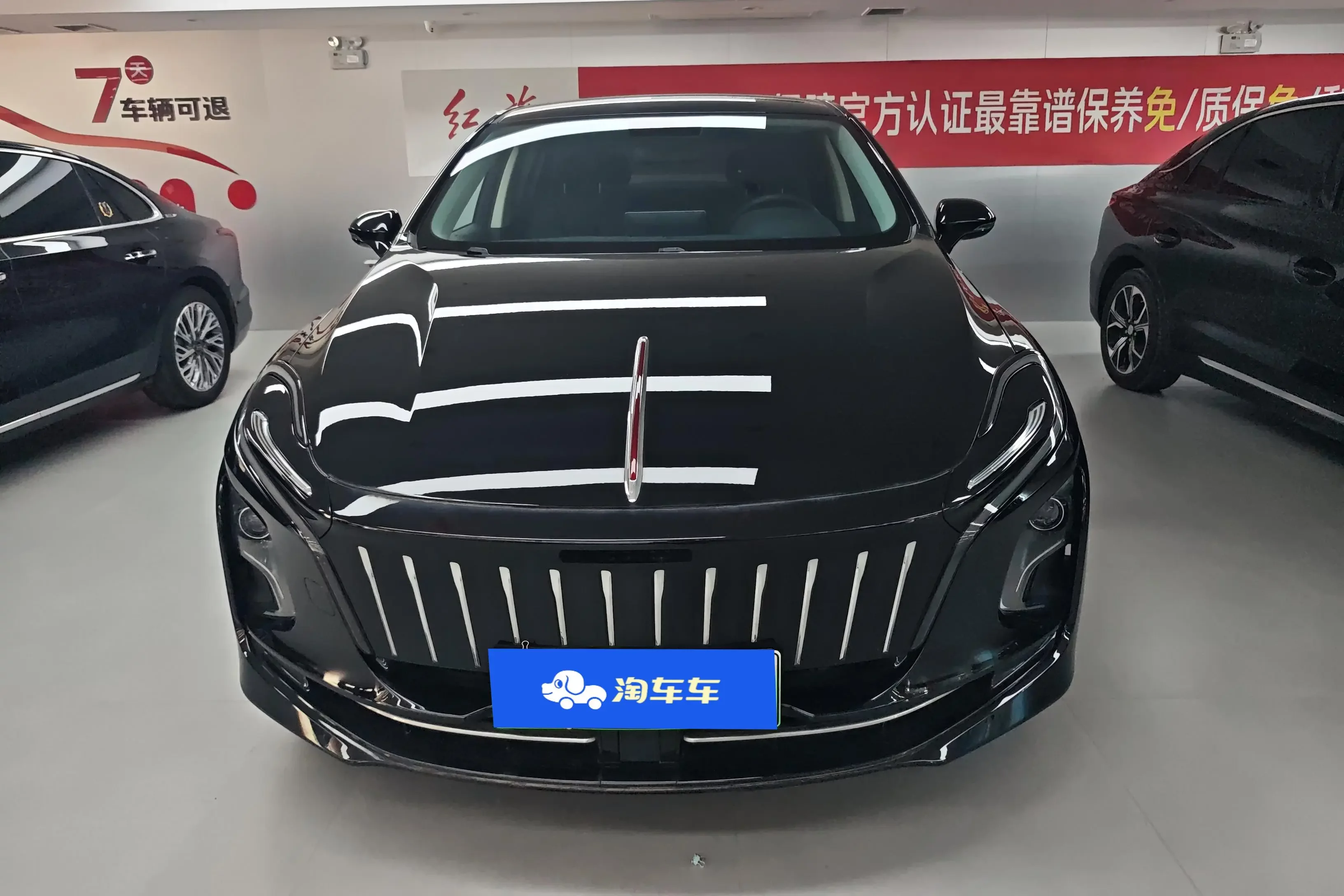 Hongqi E-QM5