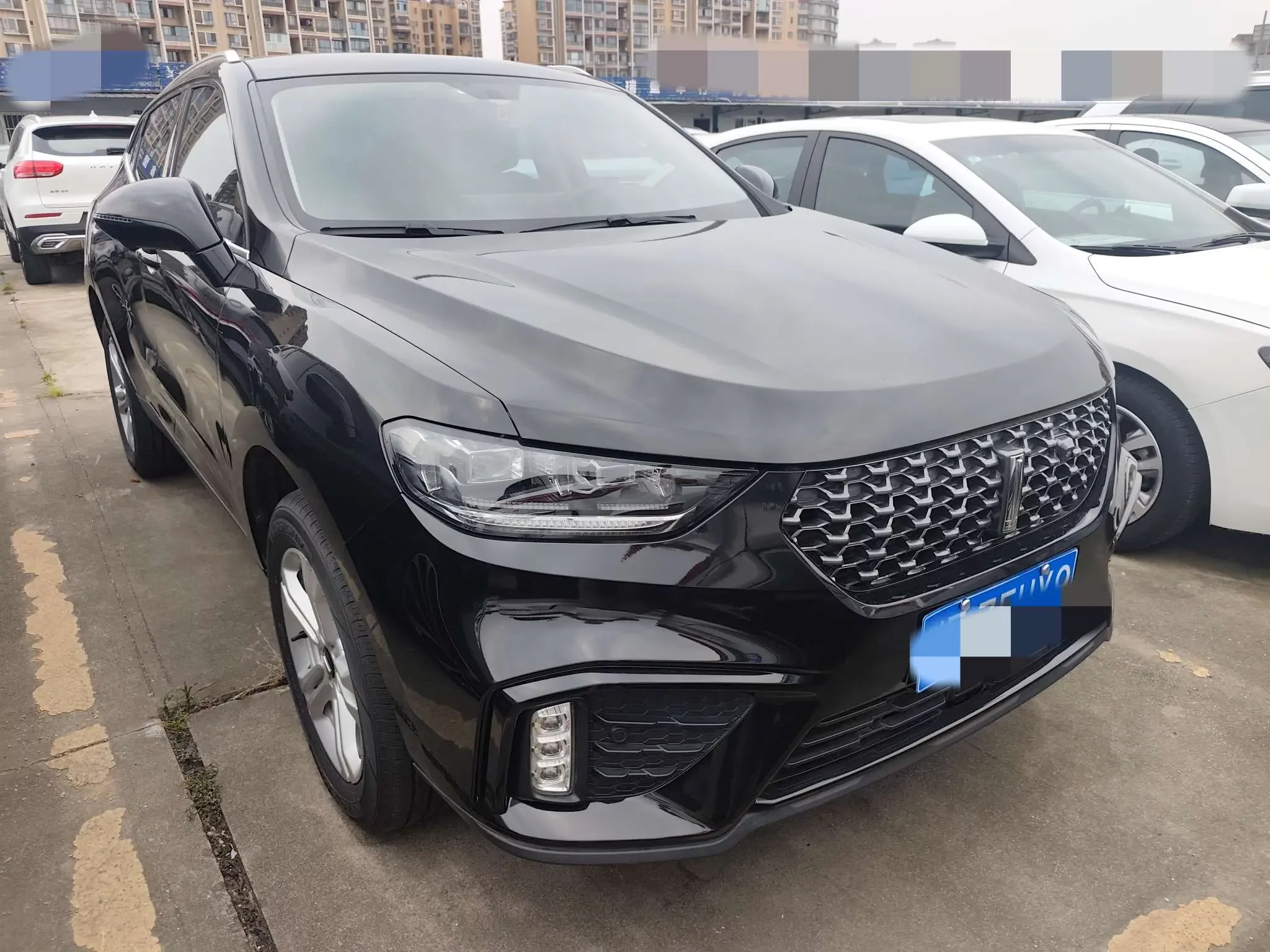 Wey Wei brand VV5