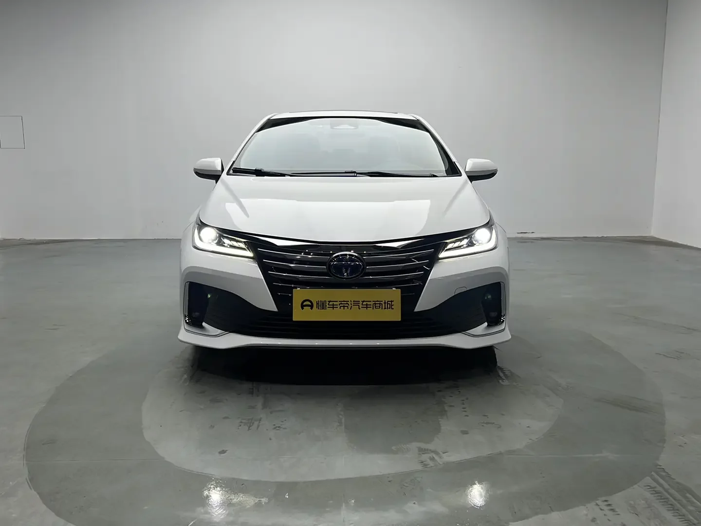 Toyota Asiatic lion