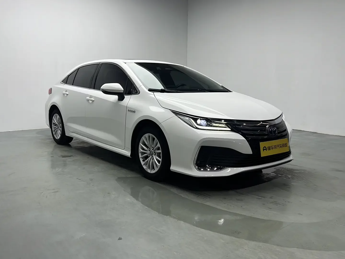 Toyota Asiatic lion