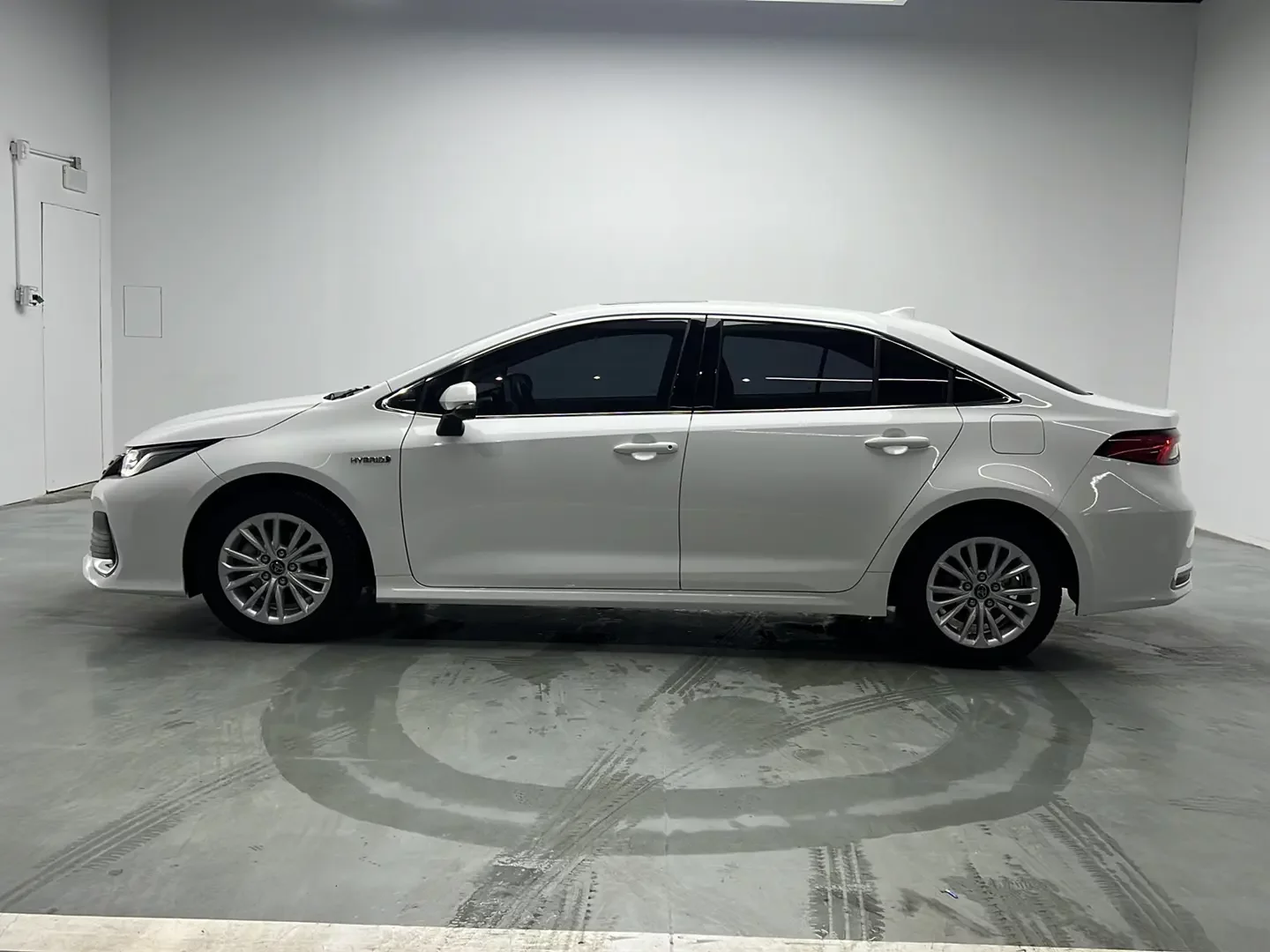 Toyota Asiatic lion