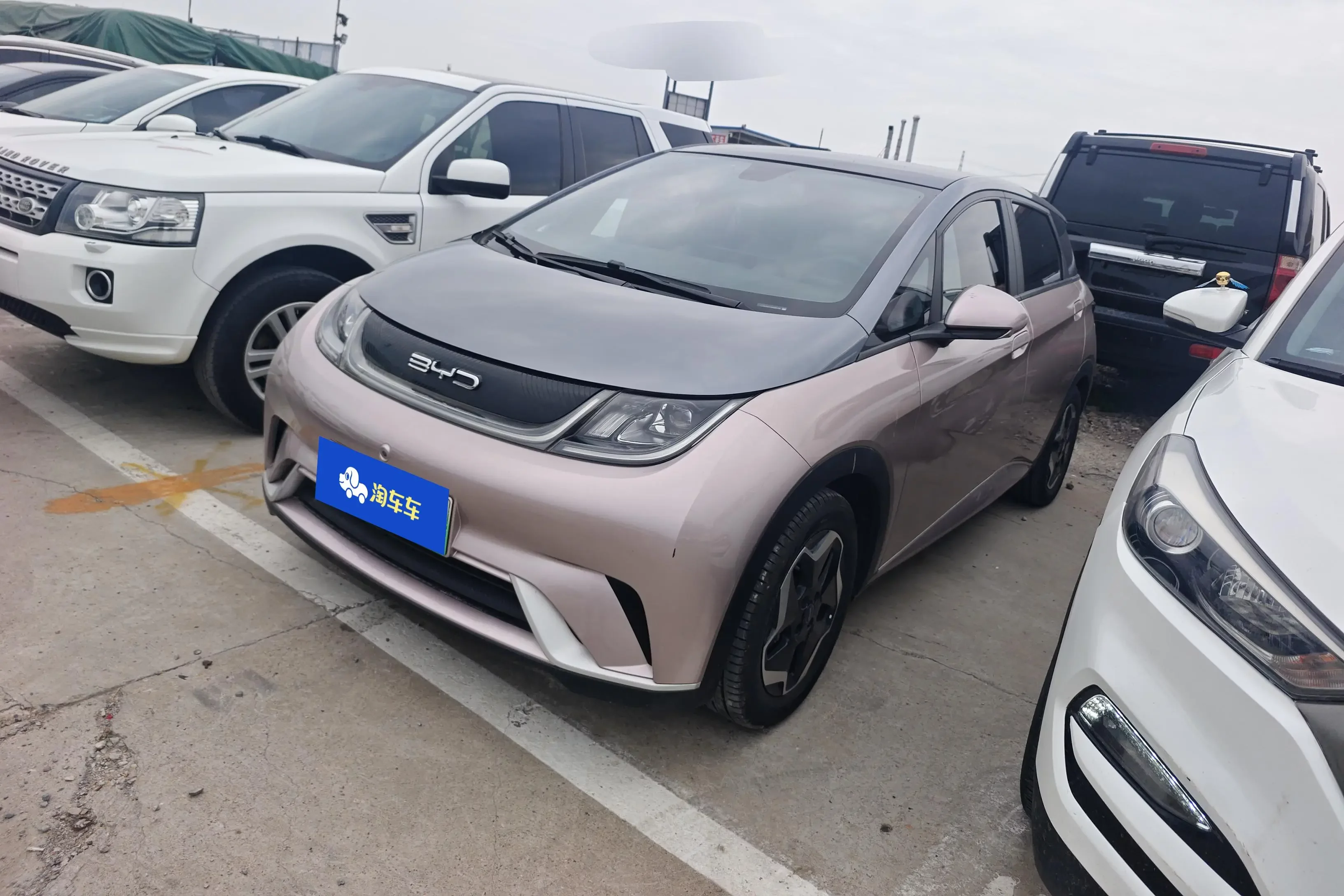 BYD dolphin