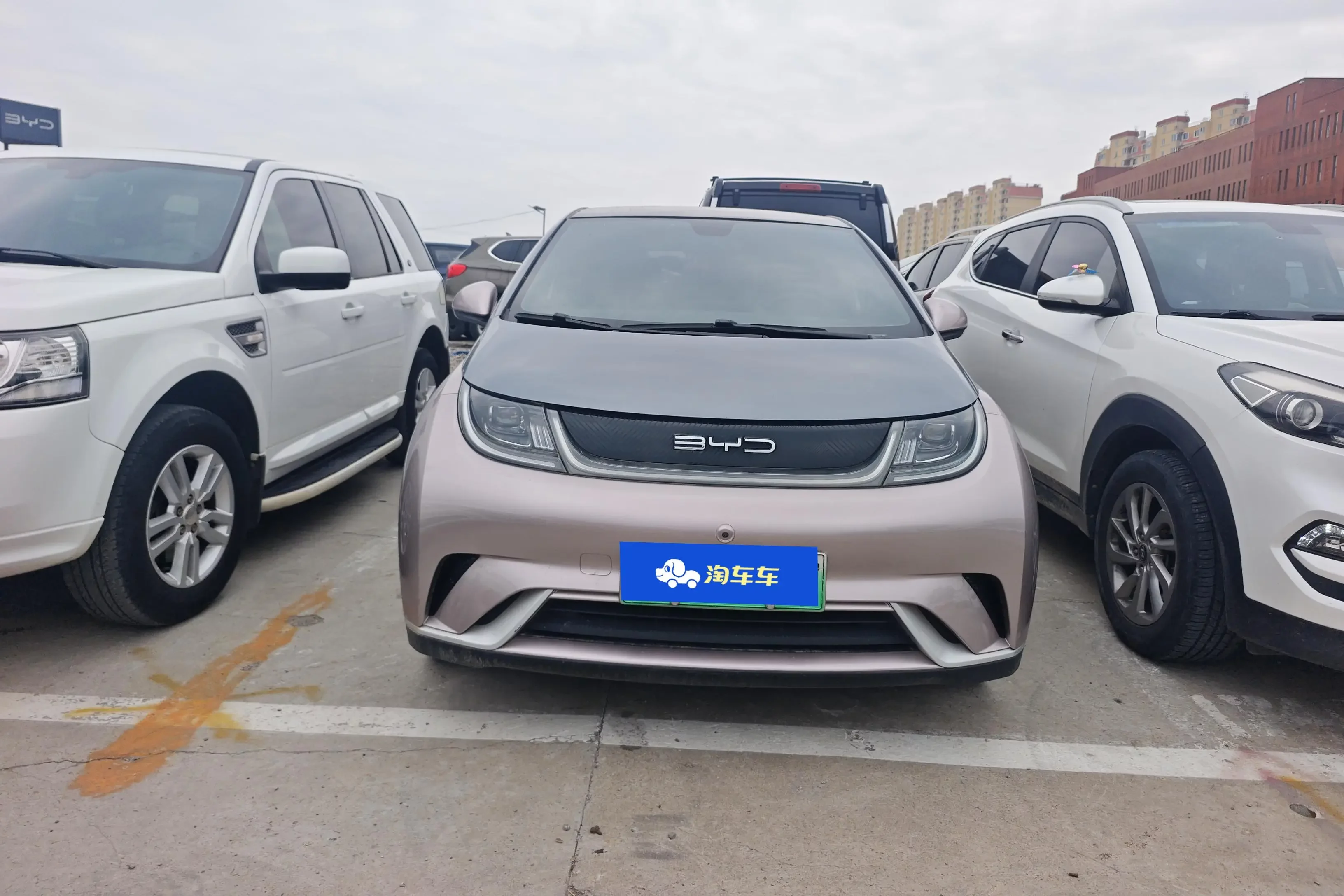 BYD dolphin