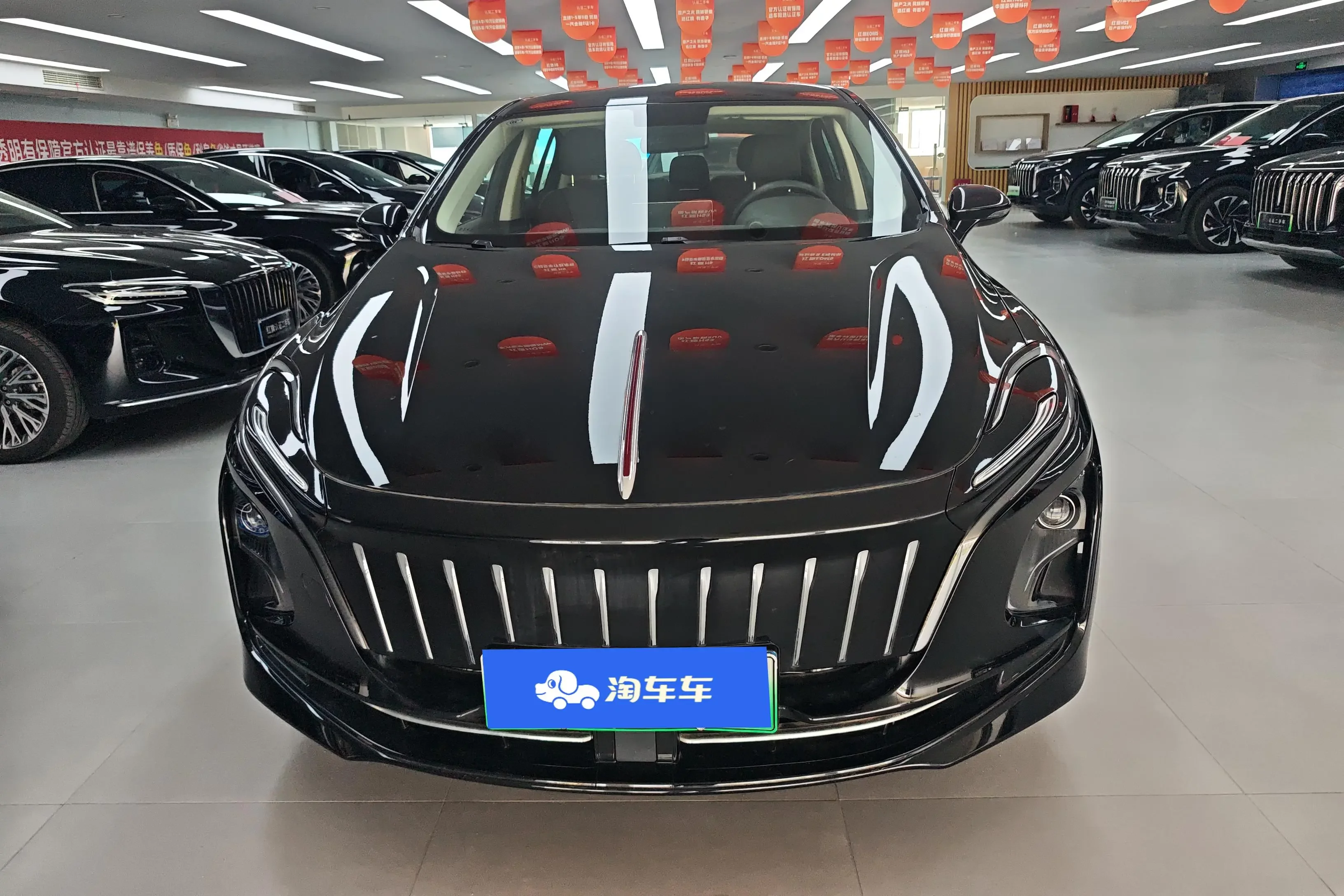 Hongqi E-QM5