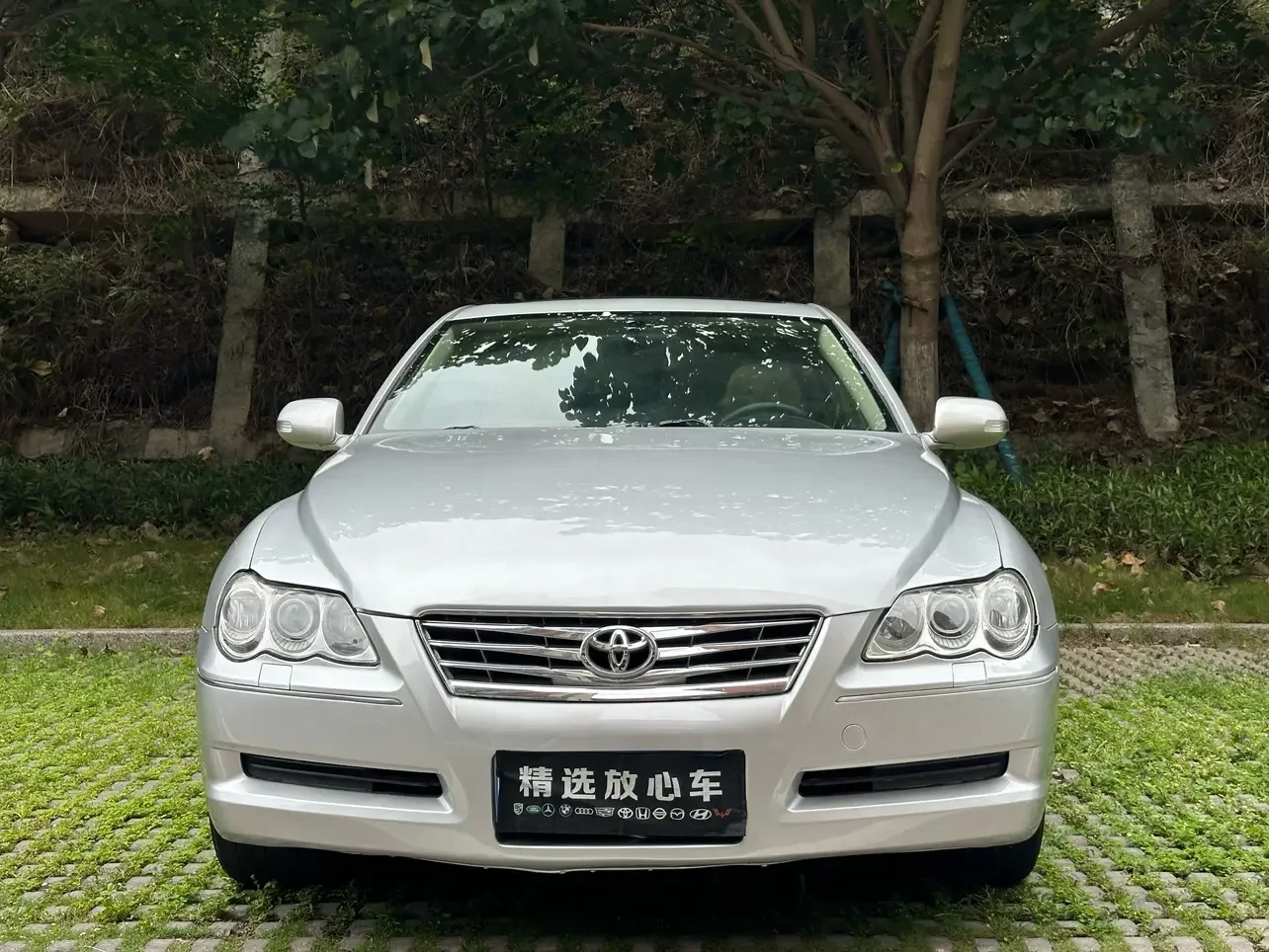 Toyota Ruizhi