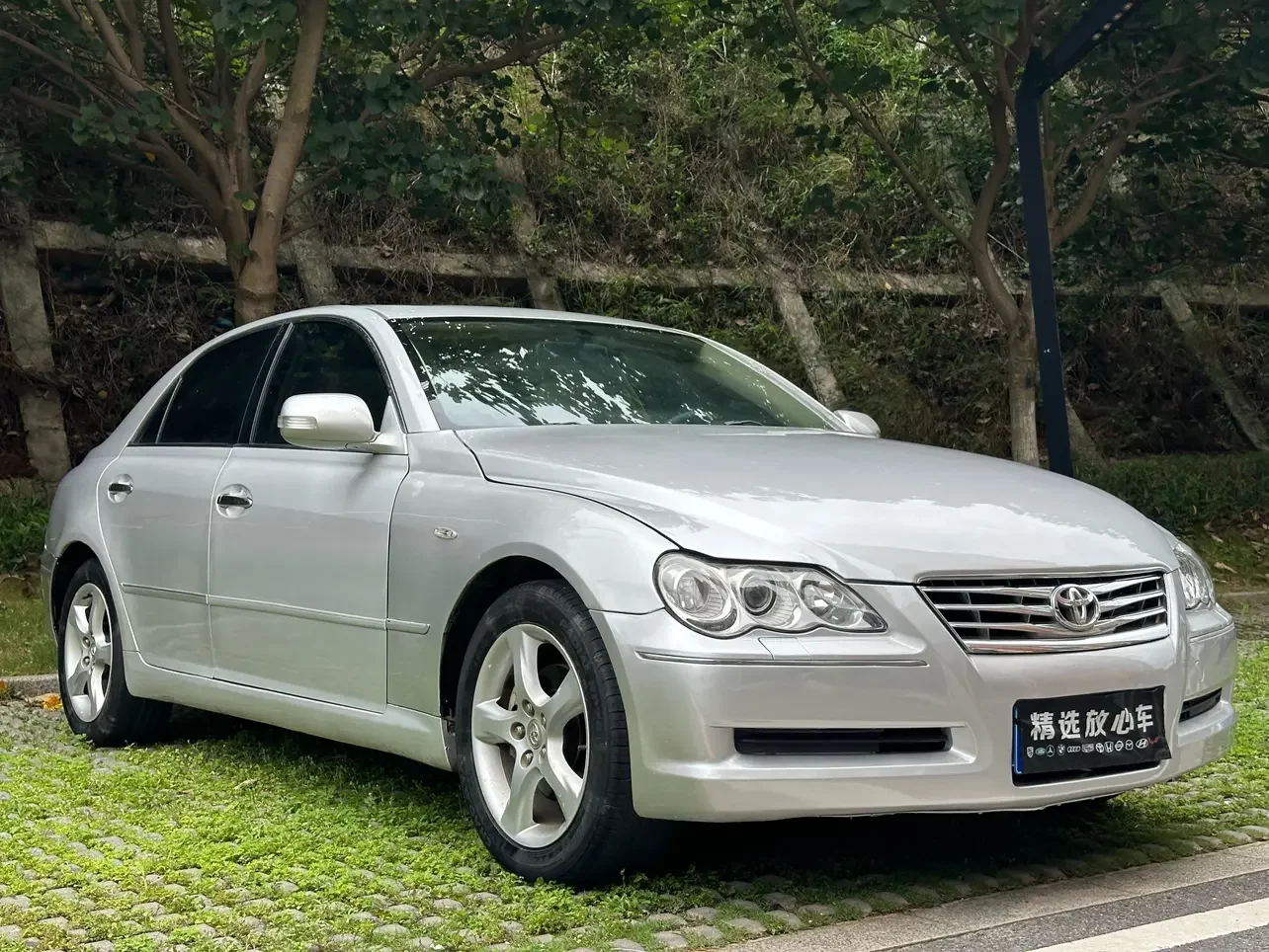 Toyota Ruizhi