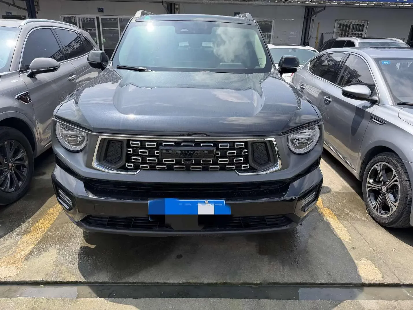 Haval H-Dog