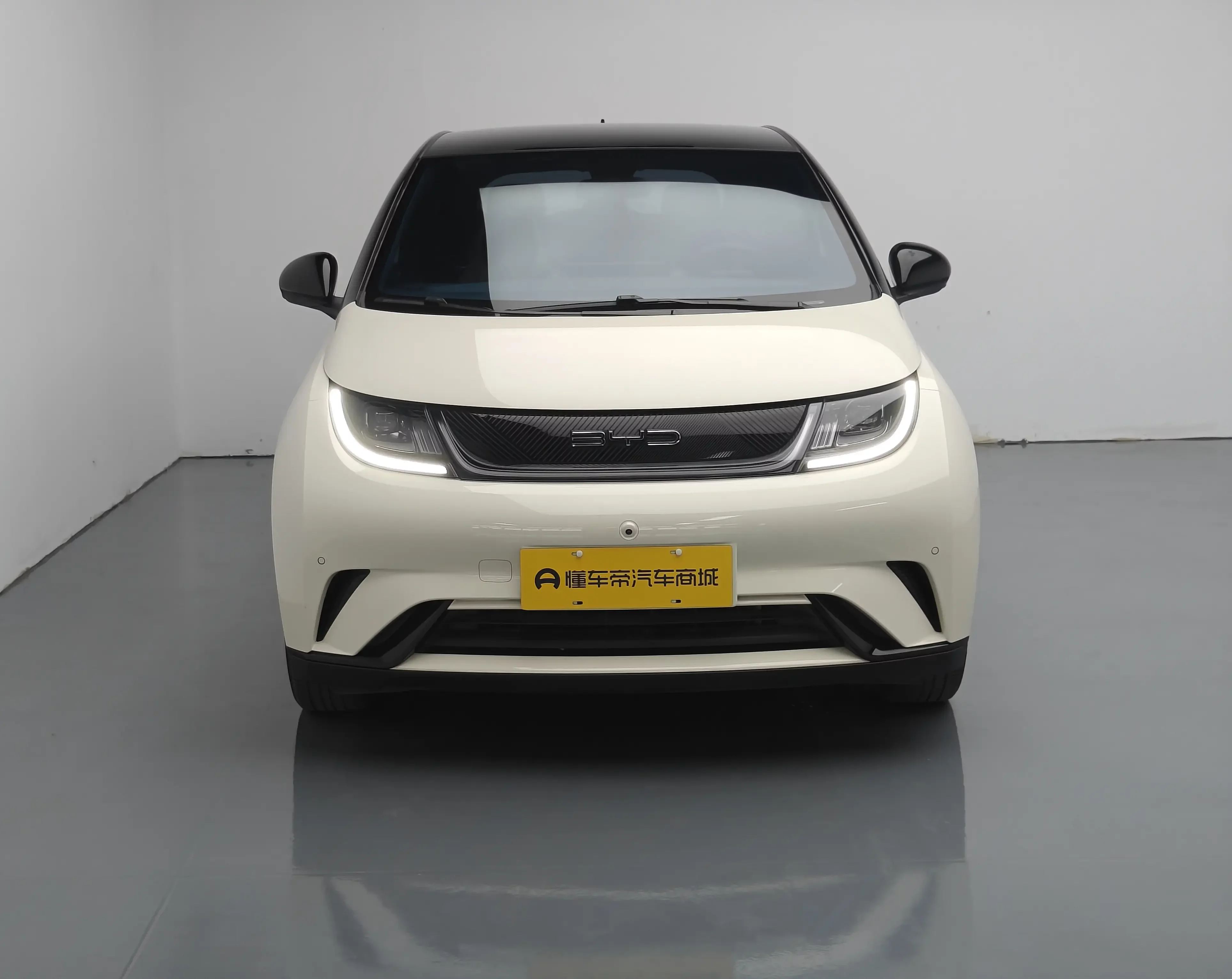 BYD dolphin